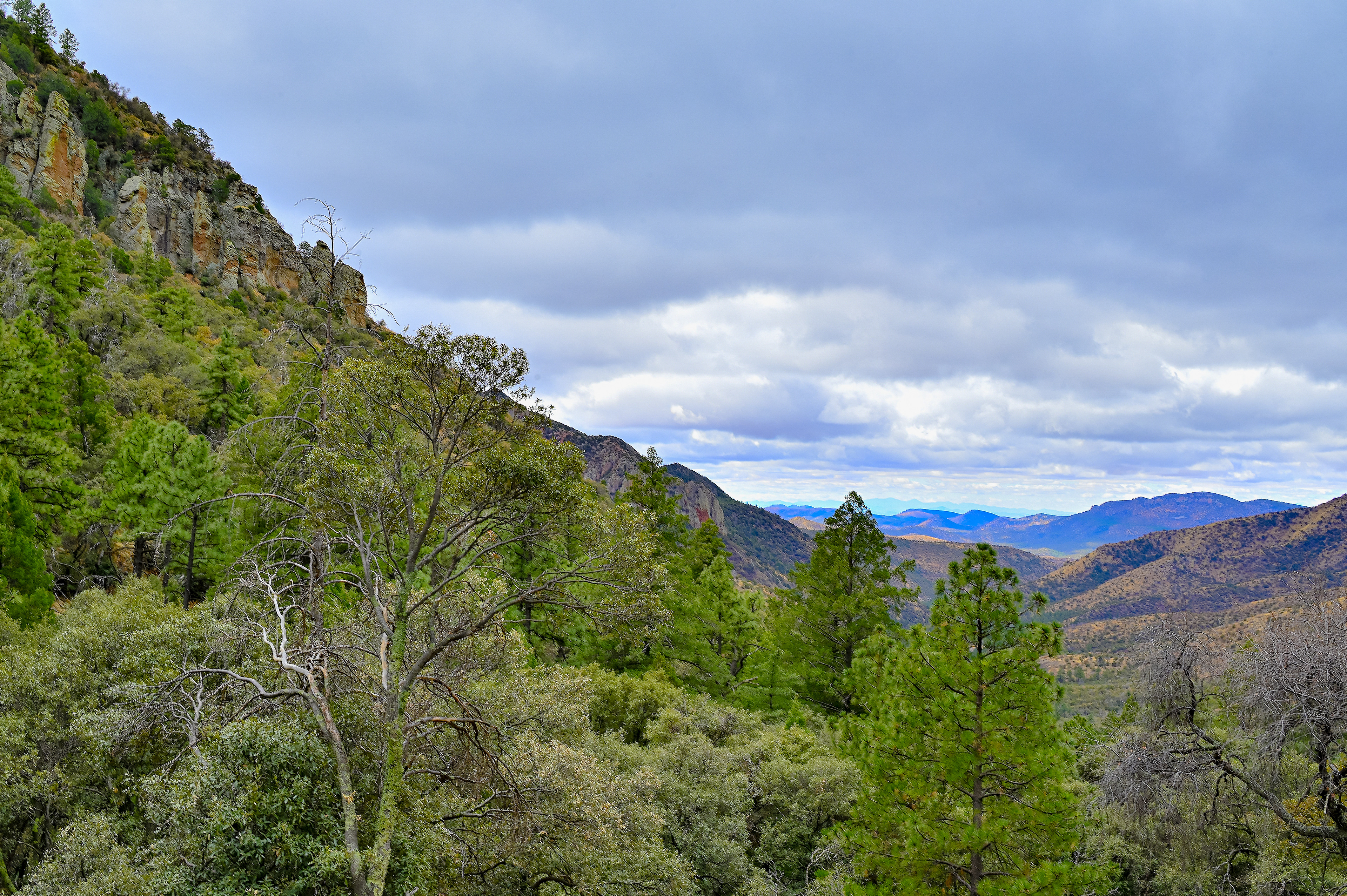 Looking Southeast Down Rucker Canyon