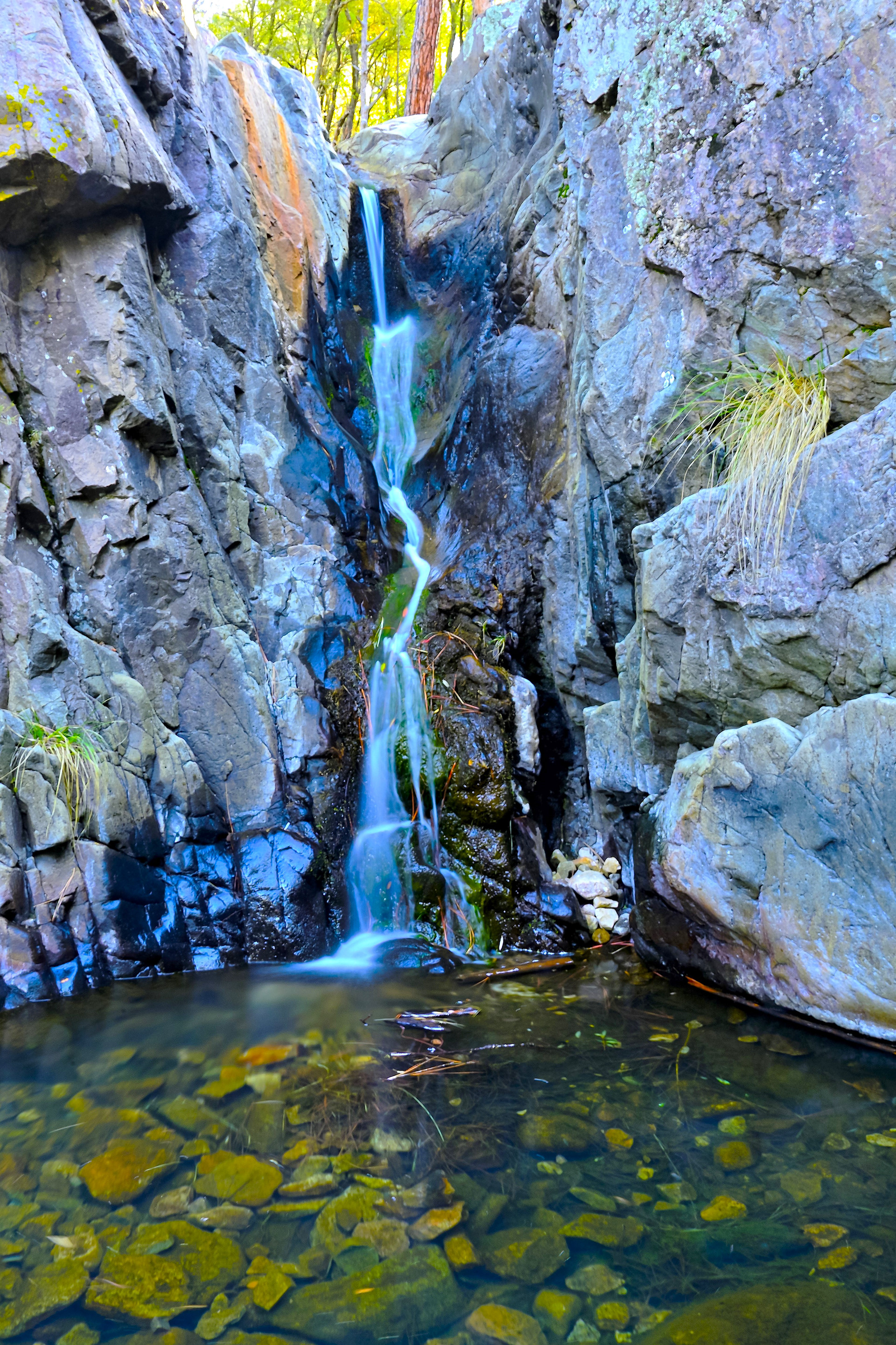 Waterfall on Turkey Creek