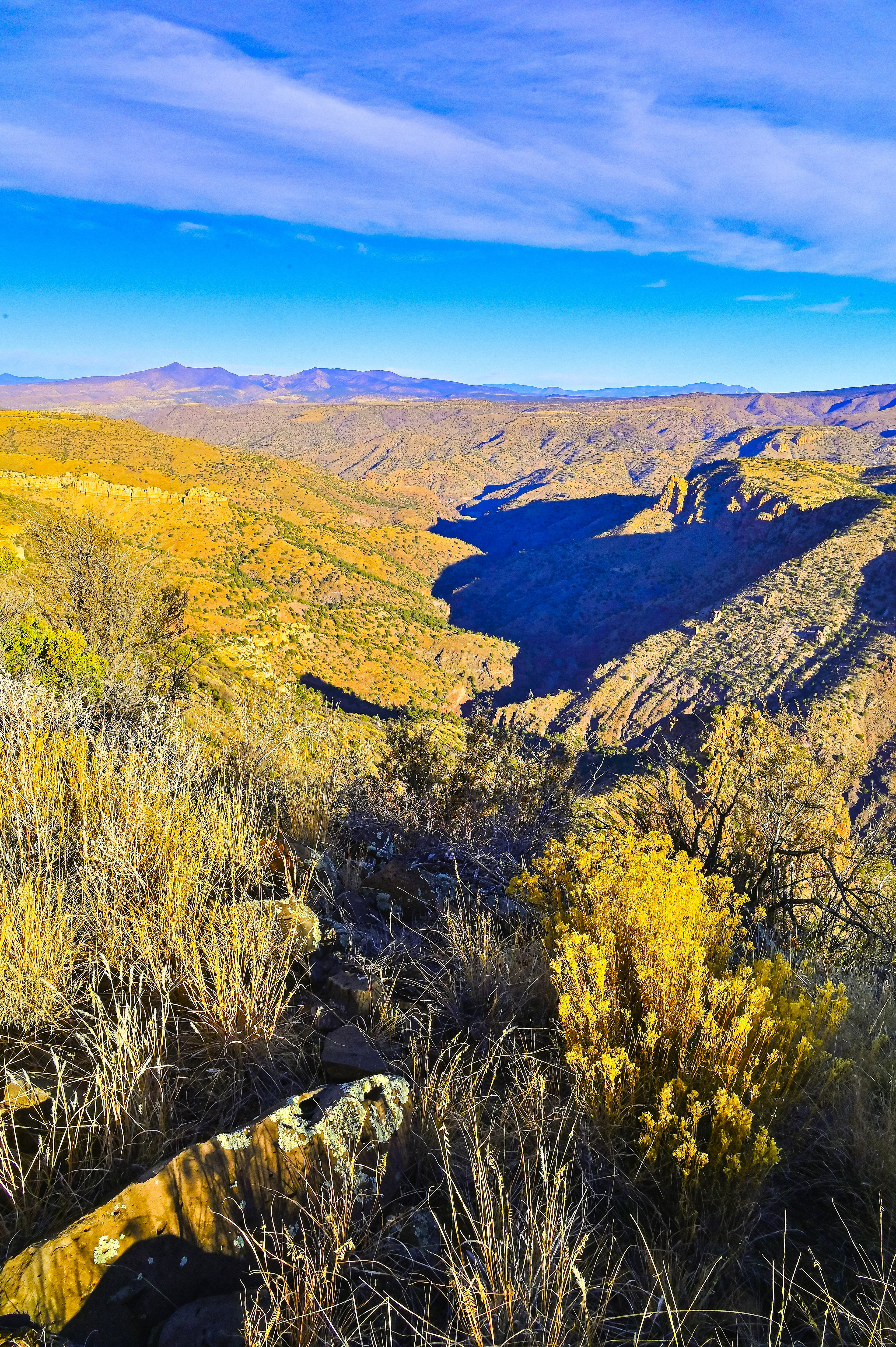 Mule Creek Canyon, Southwest New Mexico
