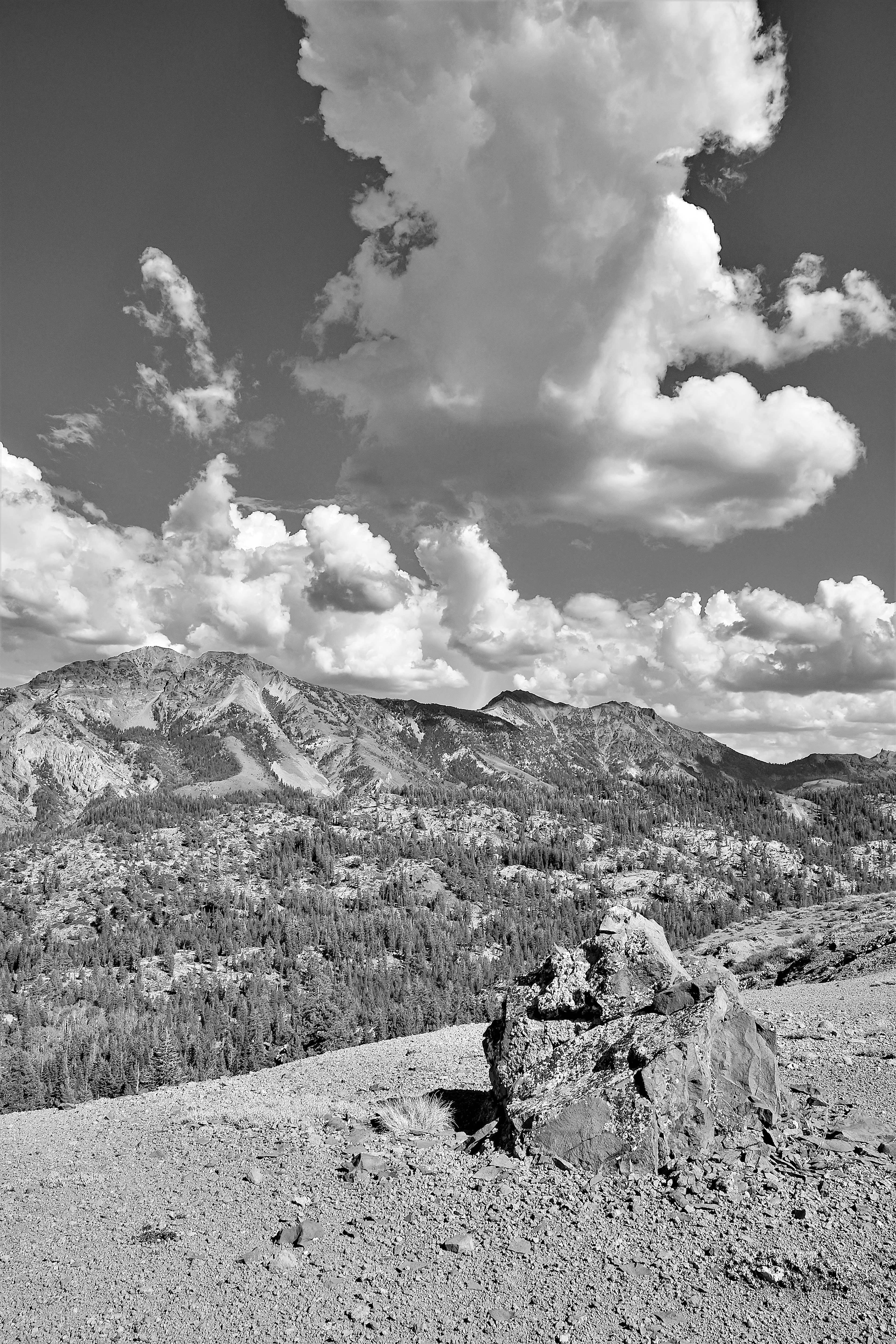 Cumulus Clouds, Sierra Nevada Mountains, California