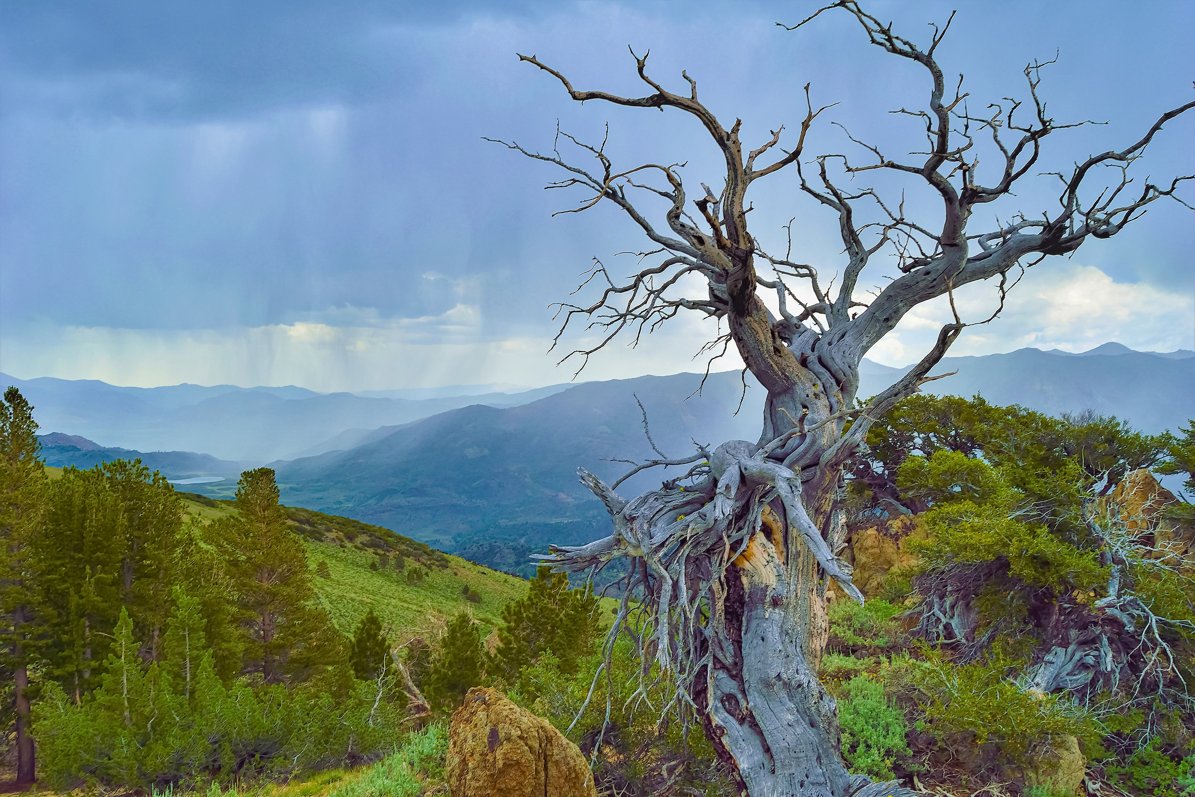 Storm Coming, Sonora Pass, California