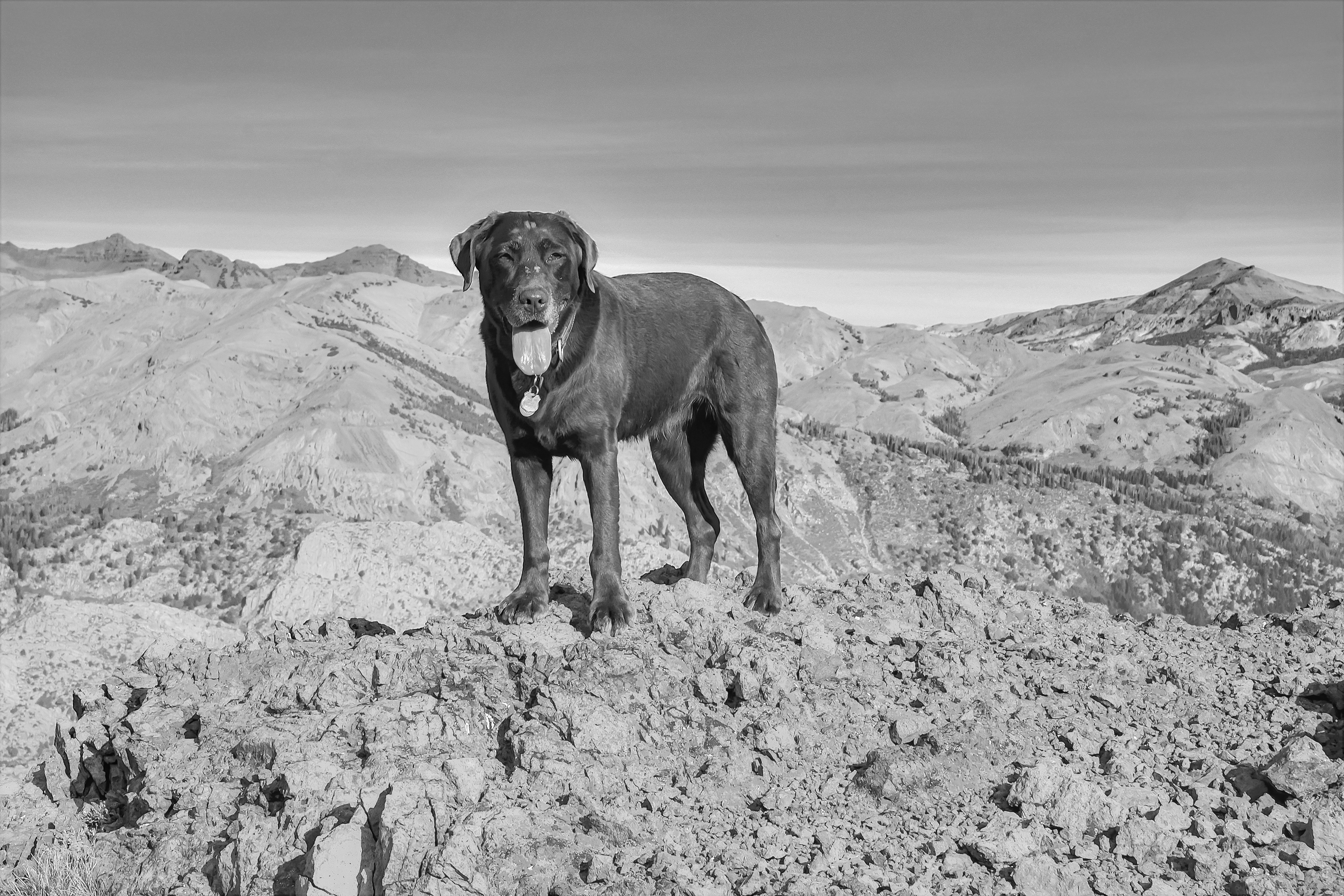 Ara at Piute Pass, Hoover Wilderness, California