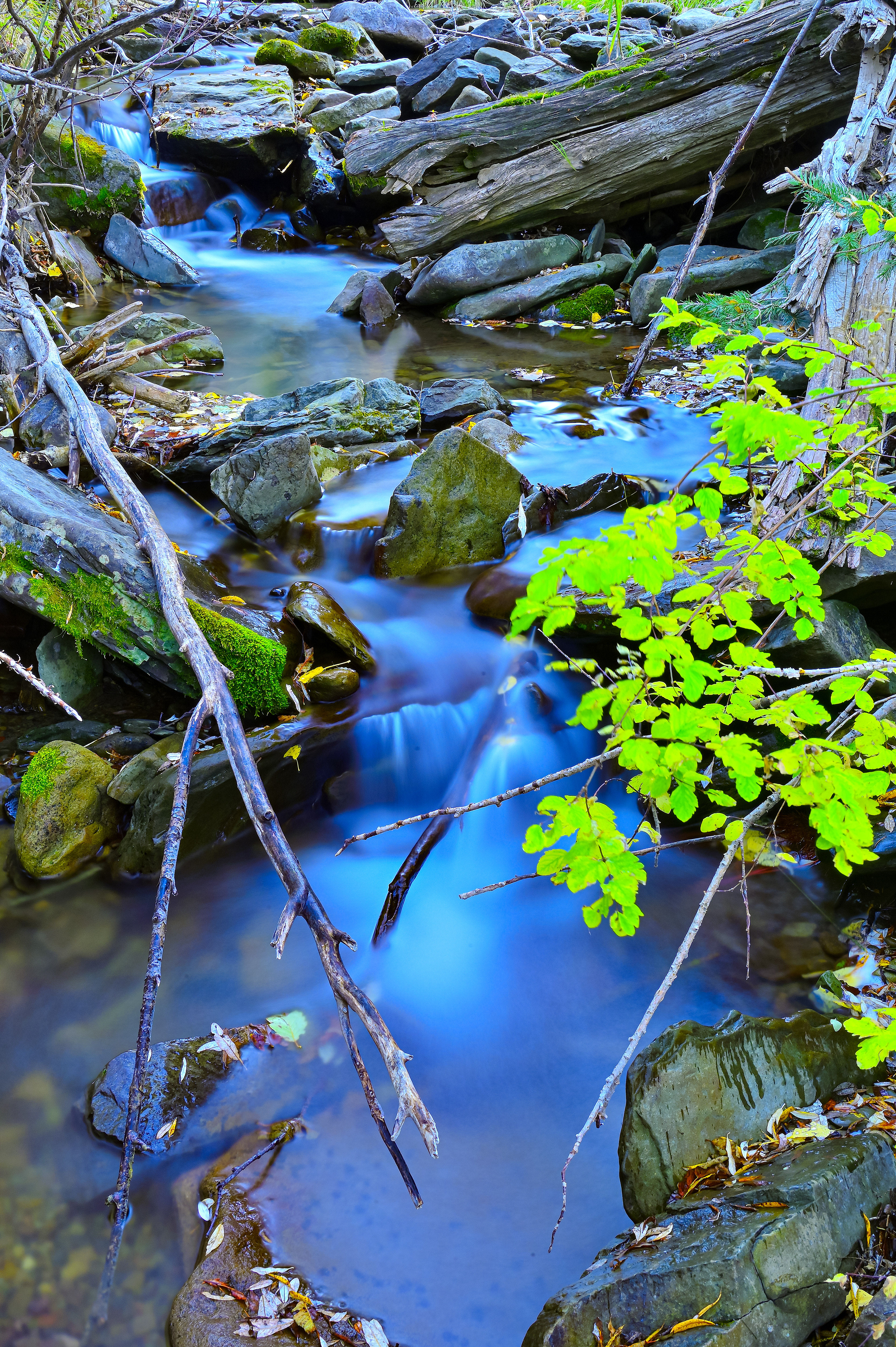 Mountain Stream, Northern New Mexico
