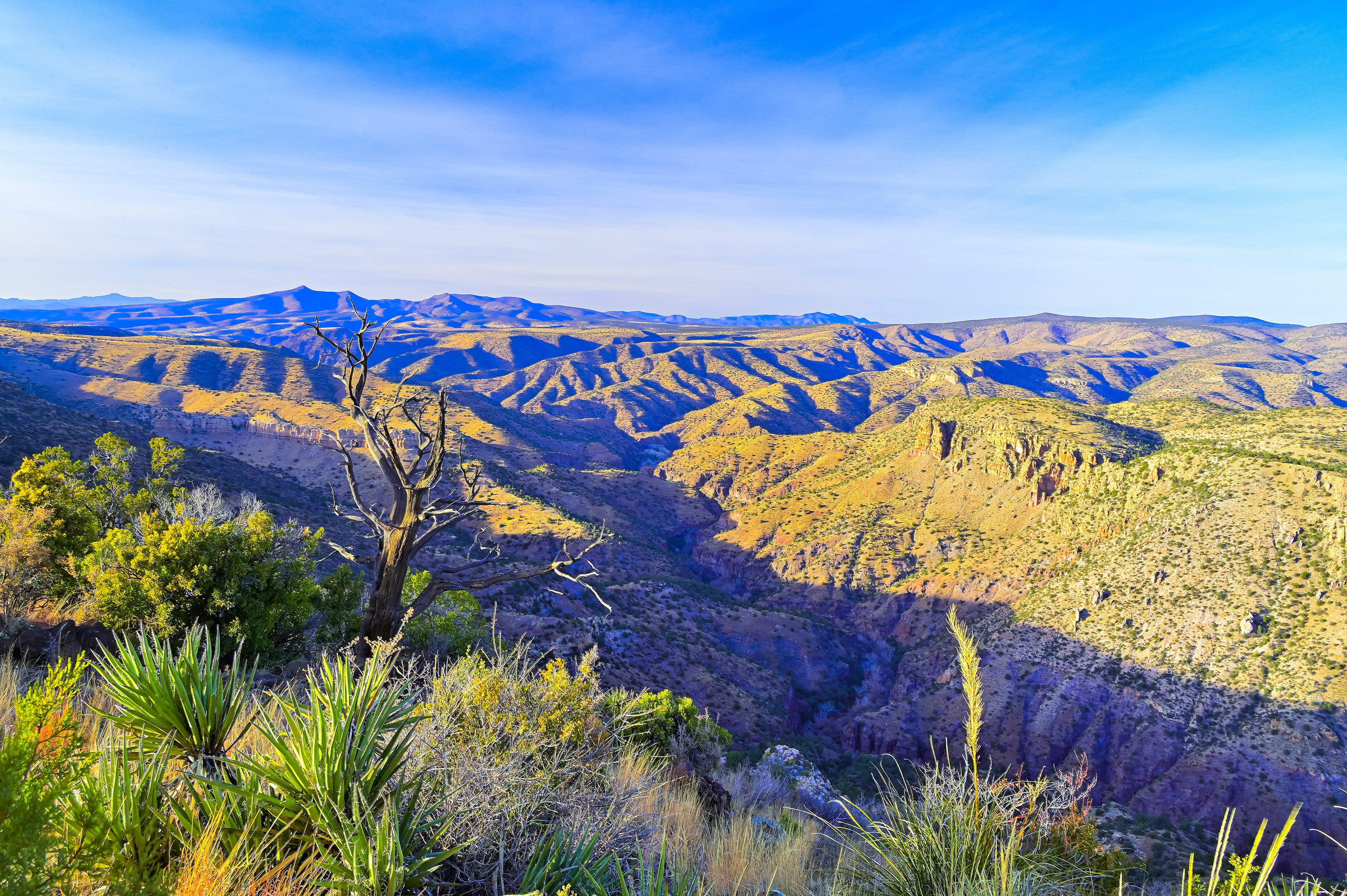 Mule Creek Canyon