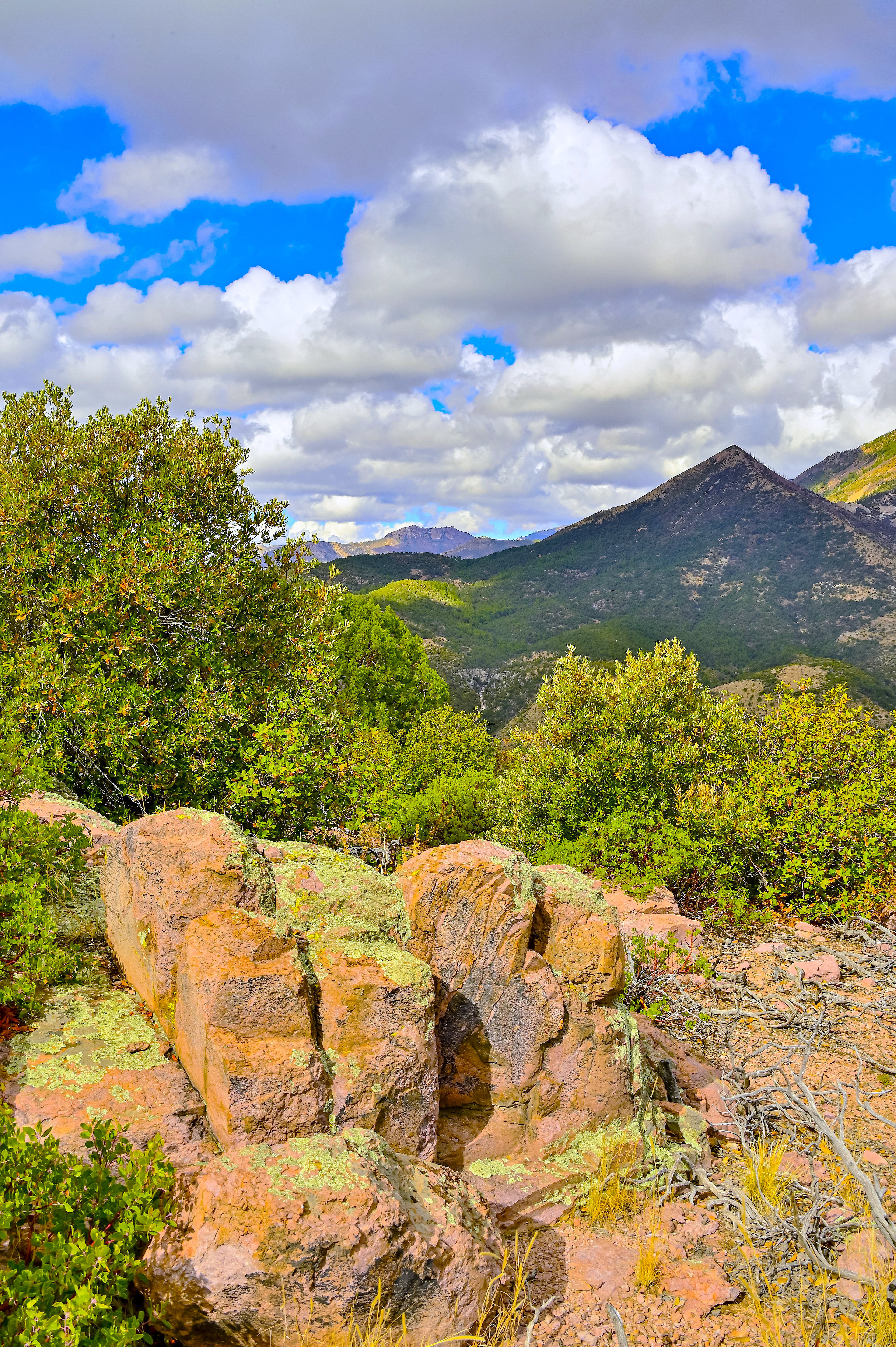 Almost Heaven, Mogollon Mountains, New Mexico