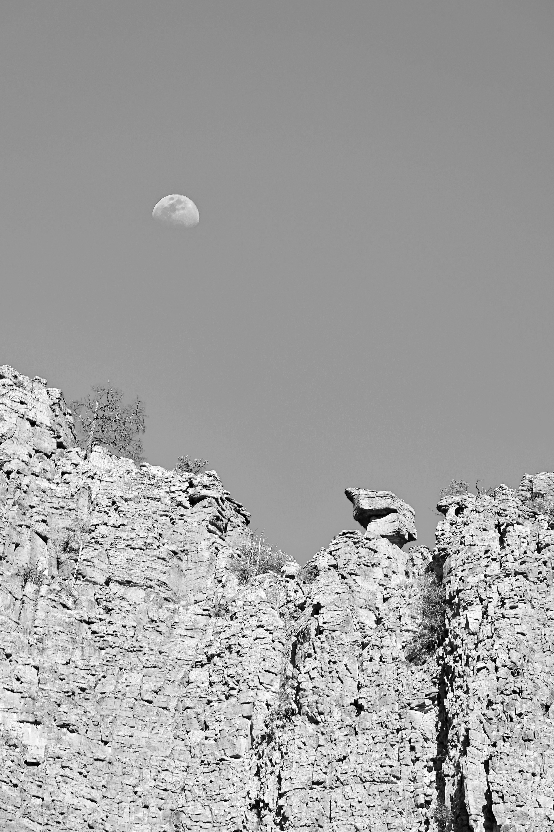 Moon Rising