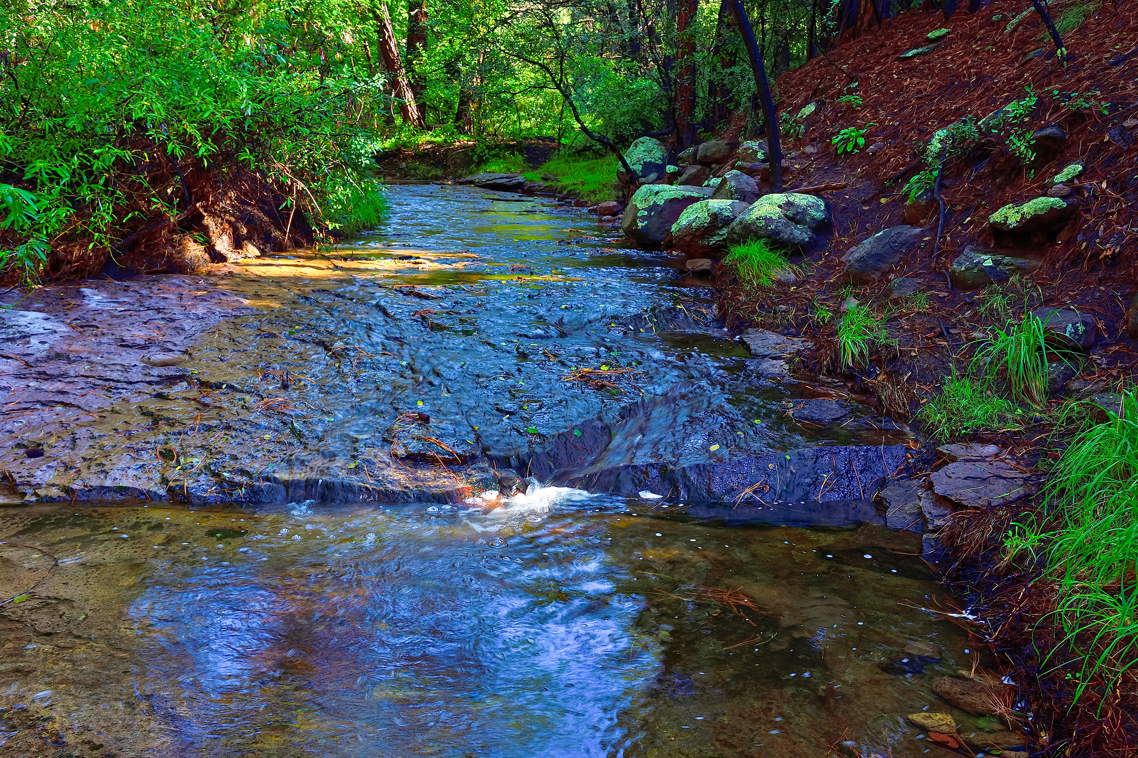 Cherry Creek, Southwest New Mexico