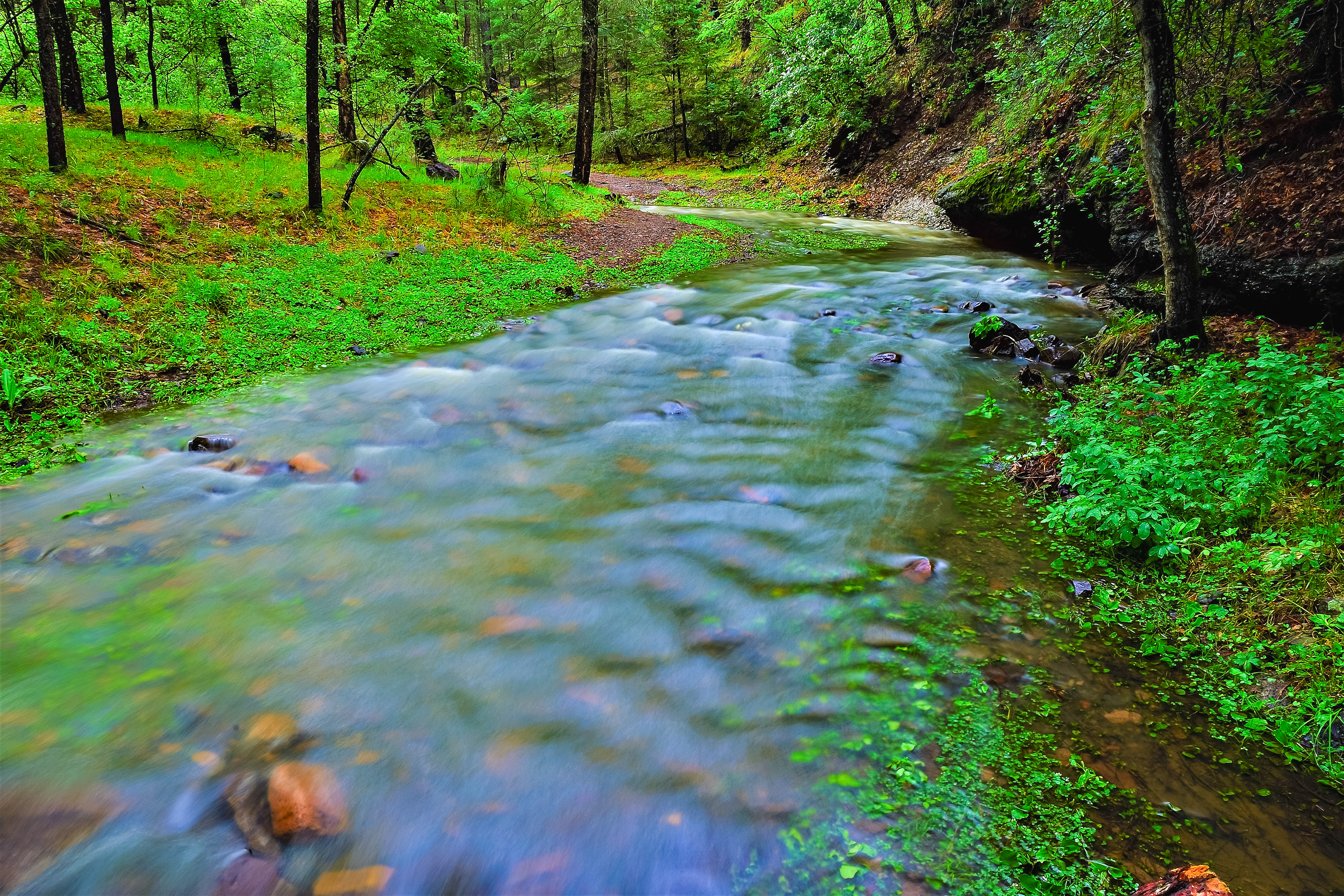 Meadow Creek, Southwest New Mexico