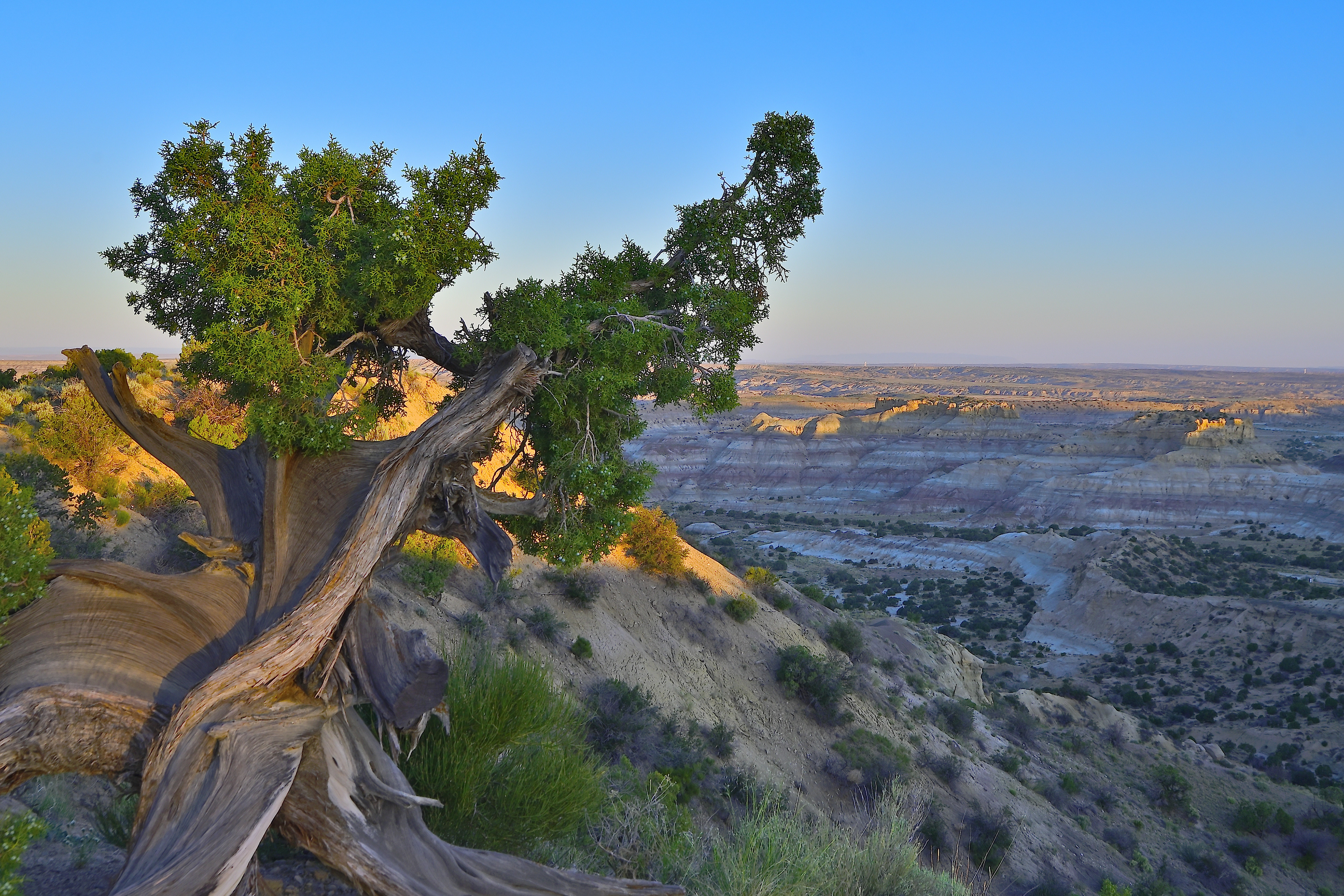 Angel Peak Scenic Area, New Mexico