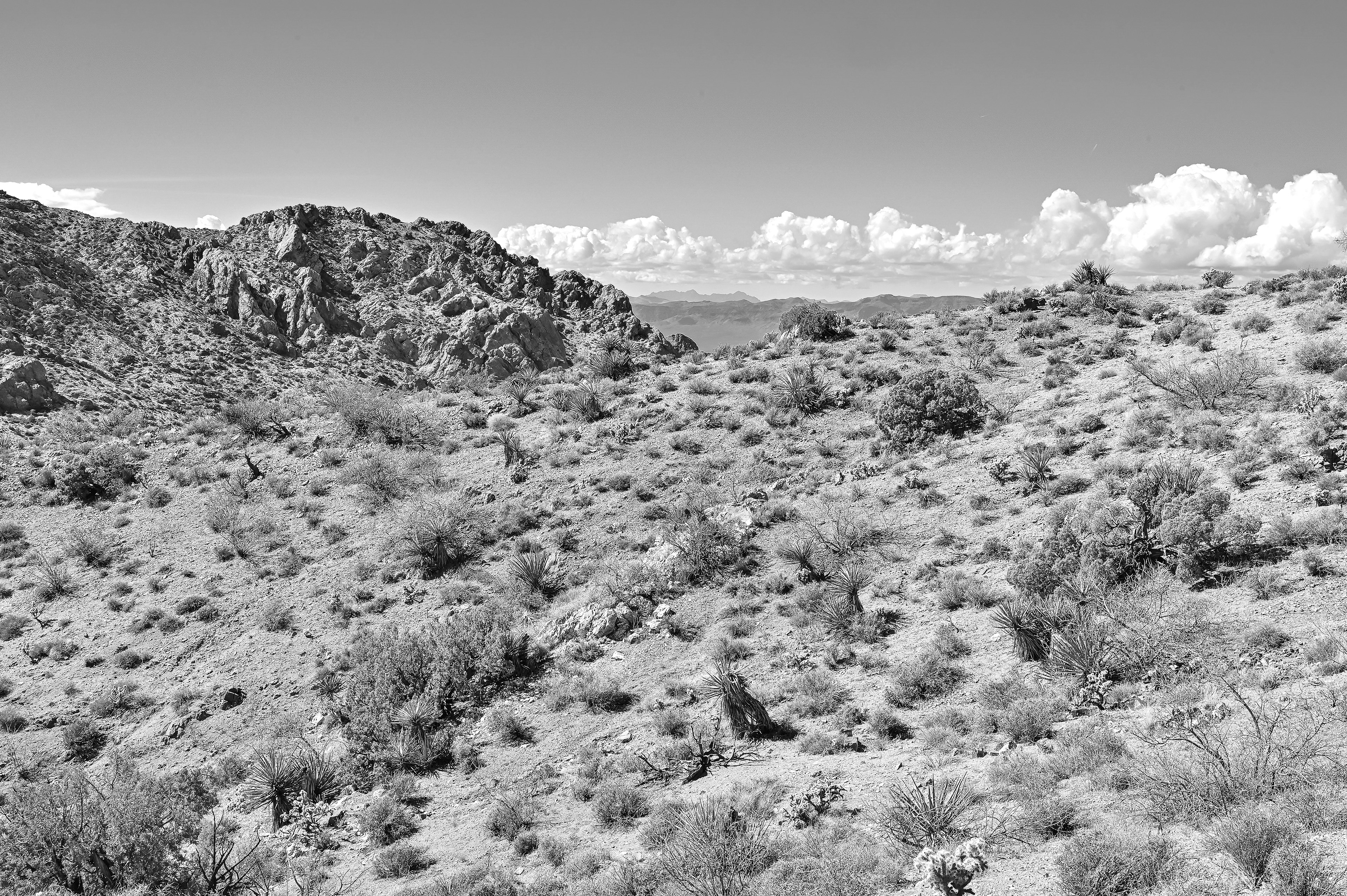 Newberry Mountains, Southern Nevada