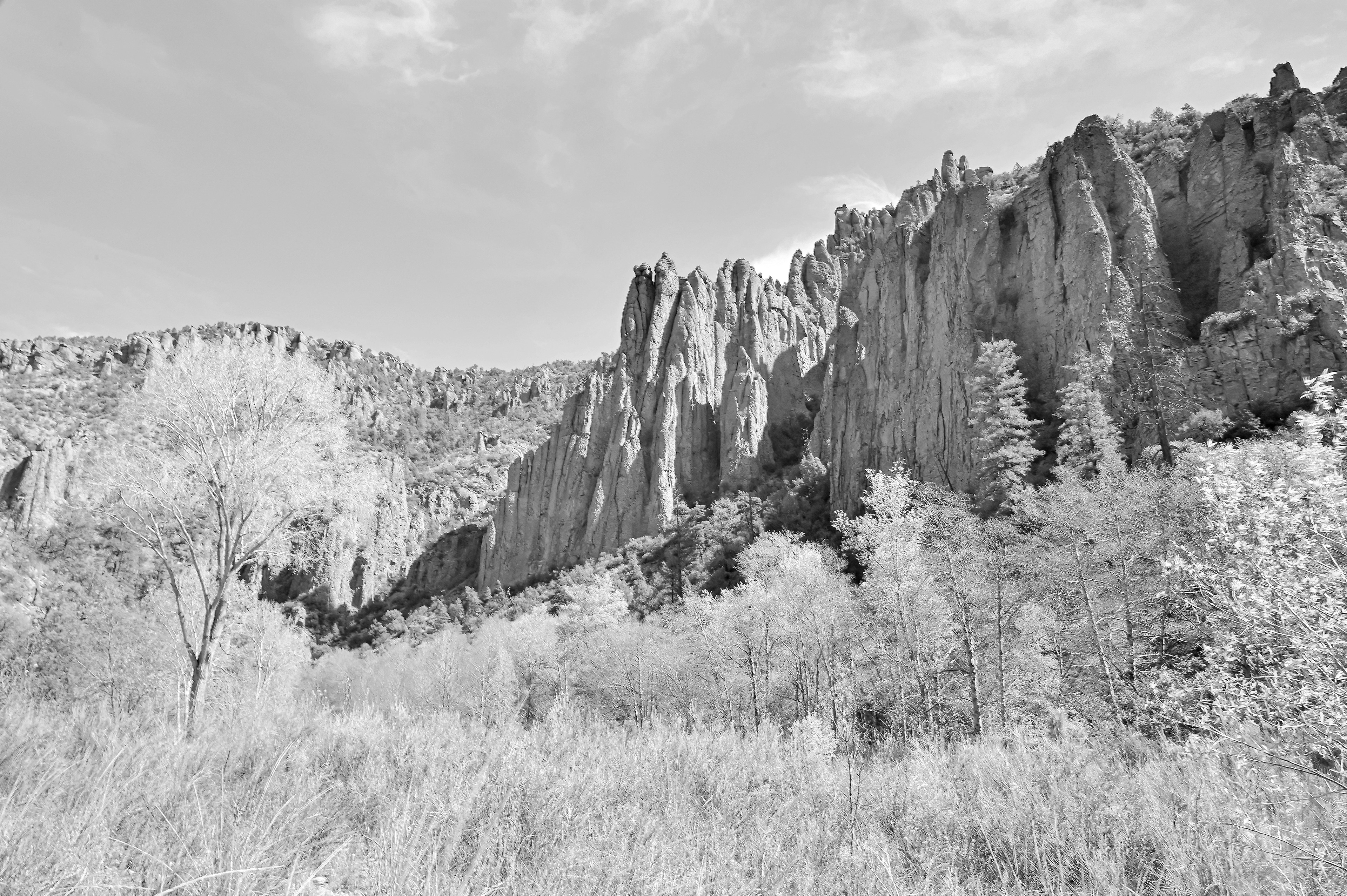 Near White Rock Canyon