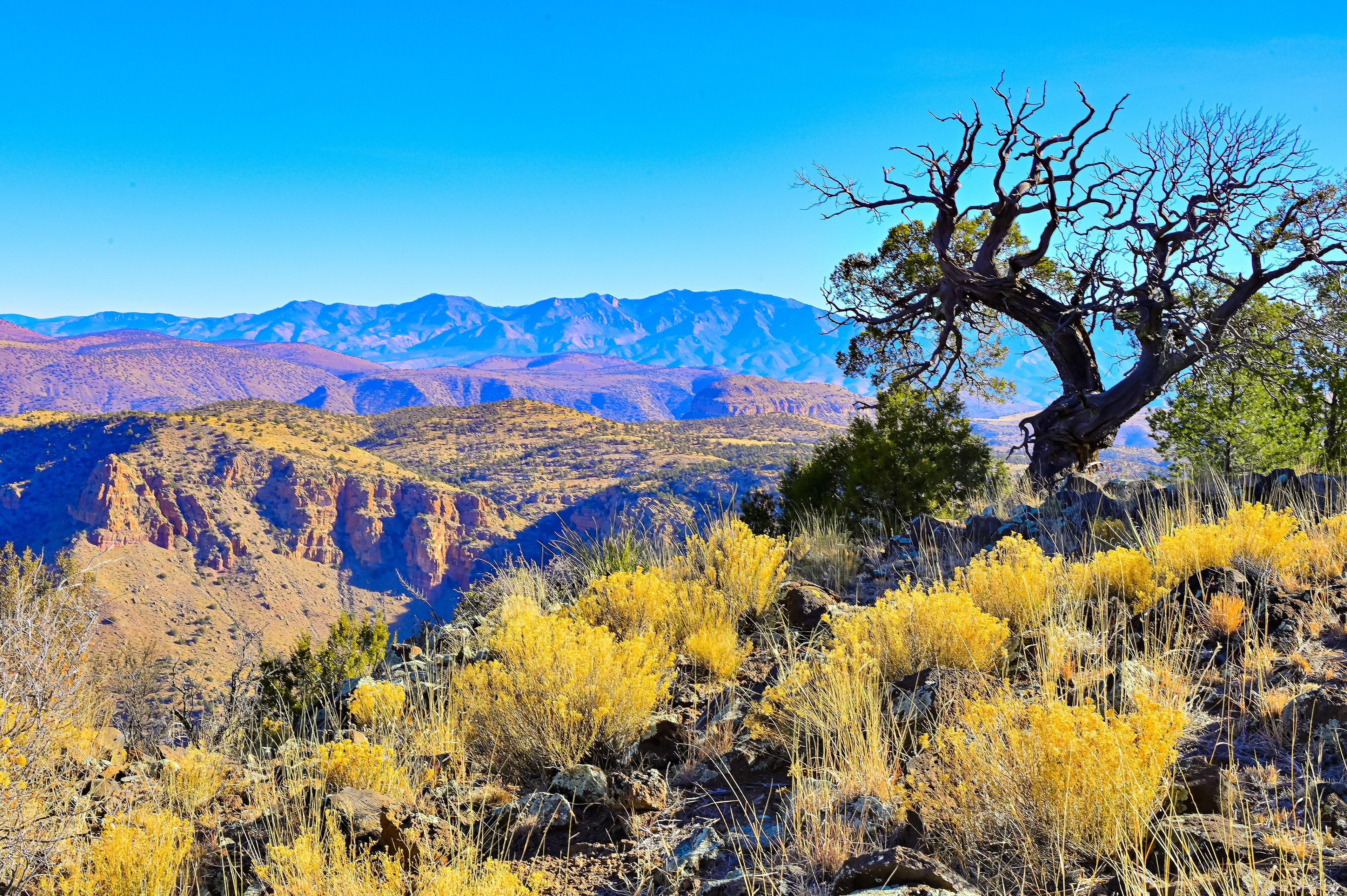 Canyon Country
