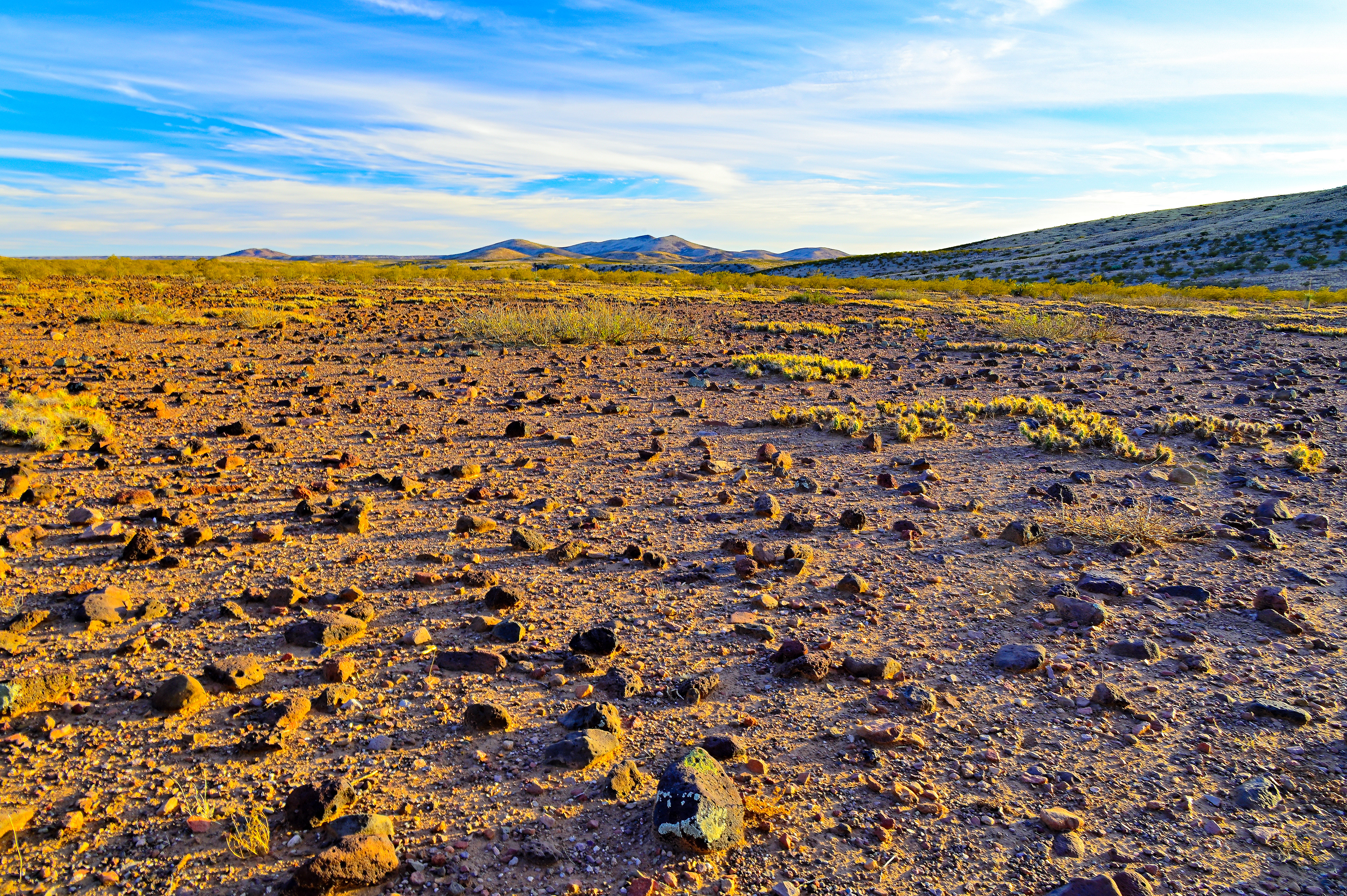Field of Stones, Southwest New Mexico