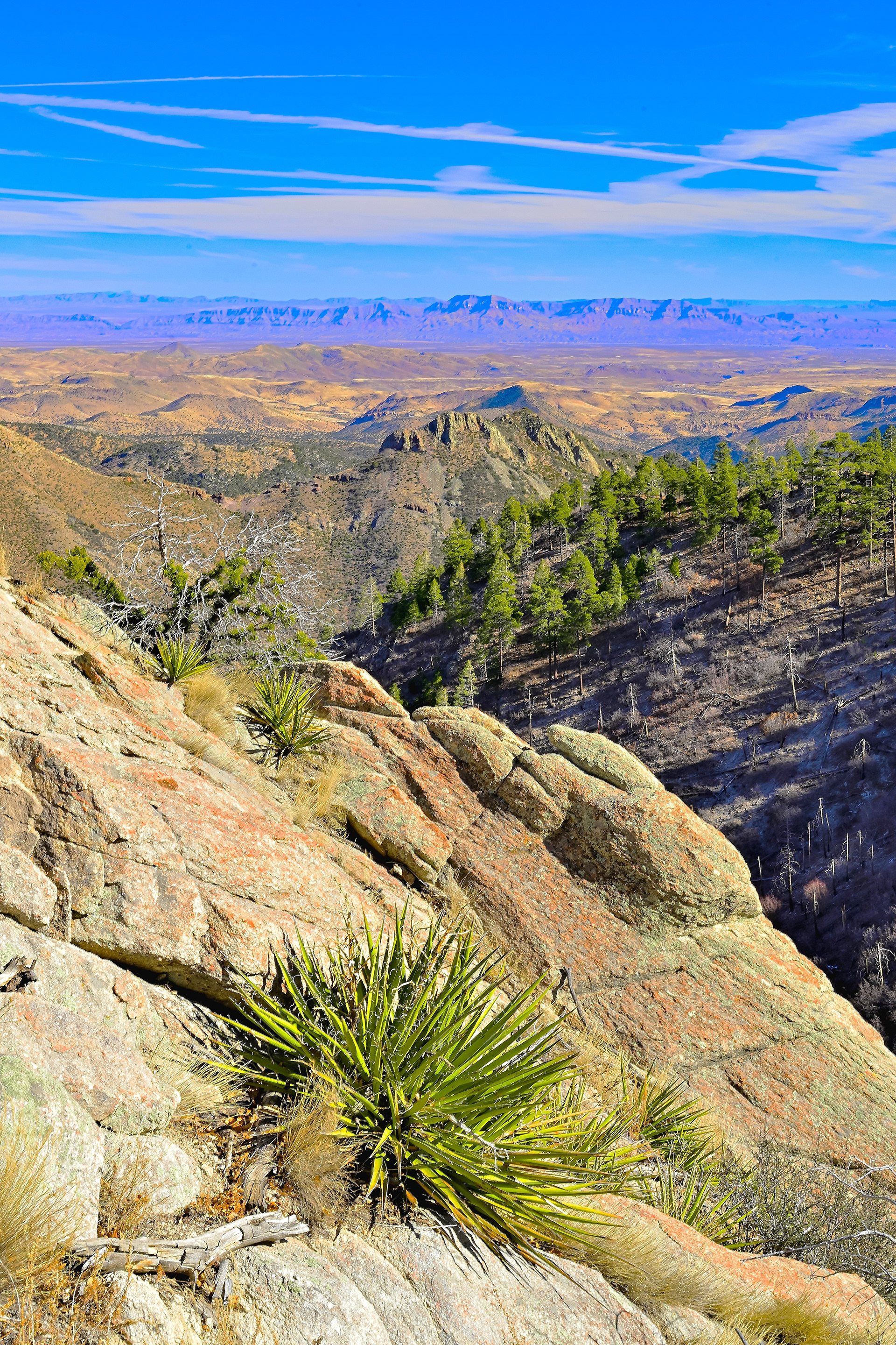Rio Grande Valley from the Black Range, New Mexico