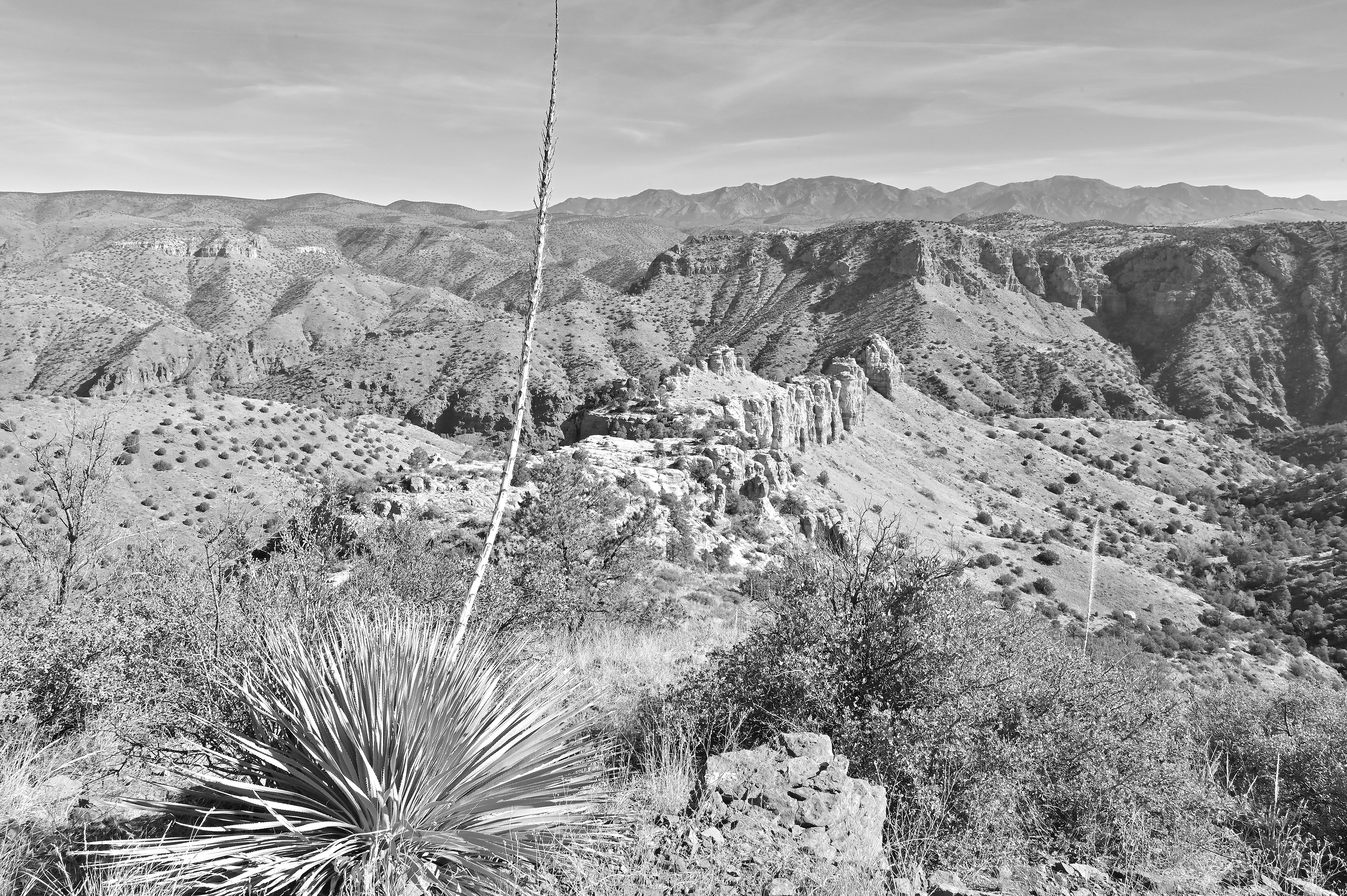 Mogollon Mountains from Mule Creek Canyon