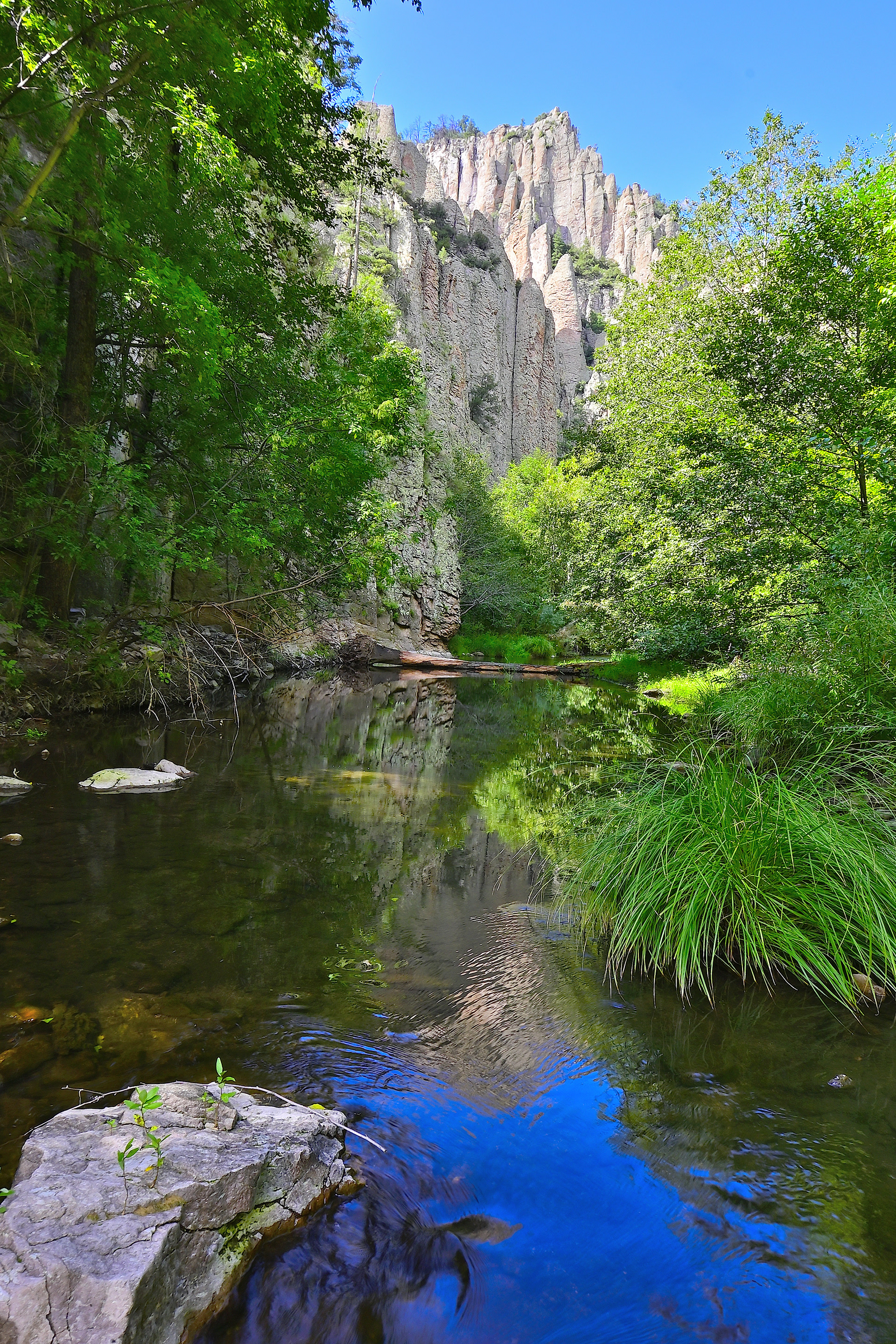 Gila Wilderness, New Mexico