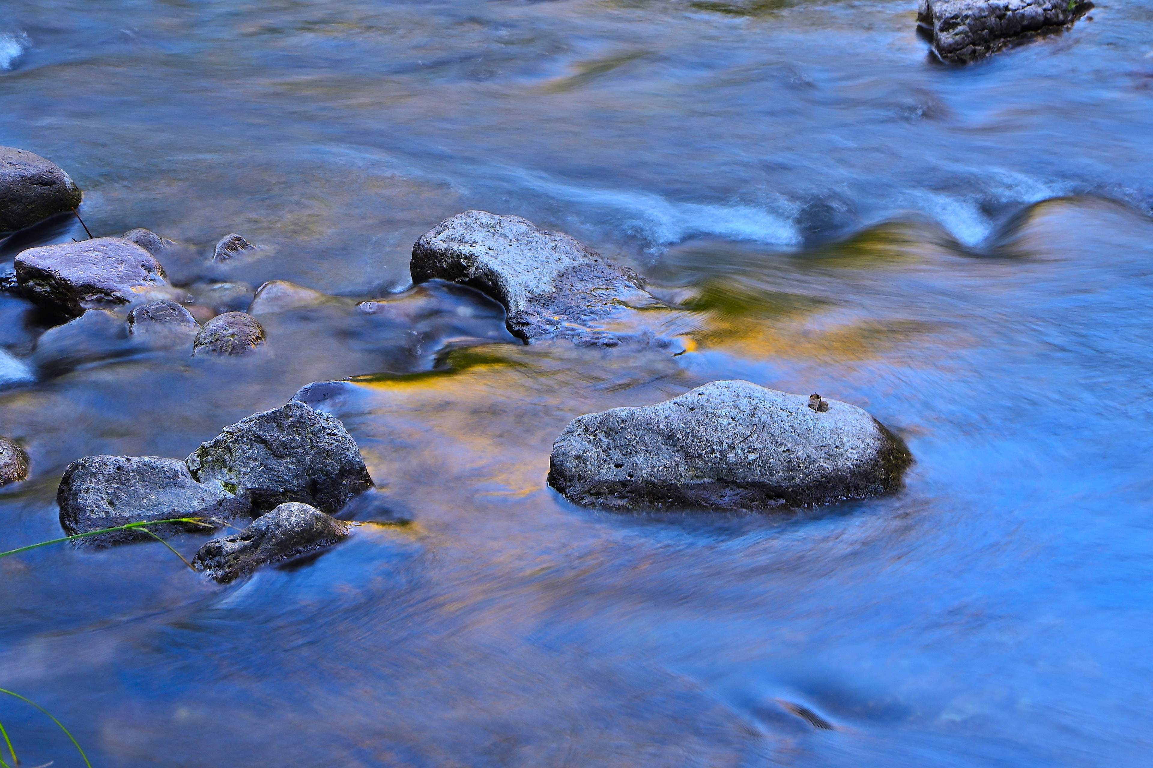 West Fork Gila River, New Mexico