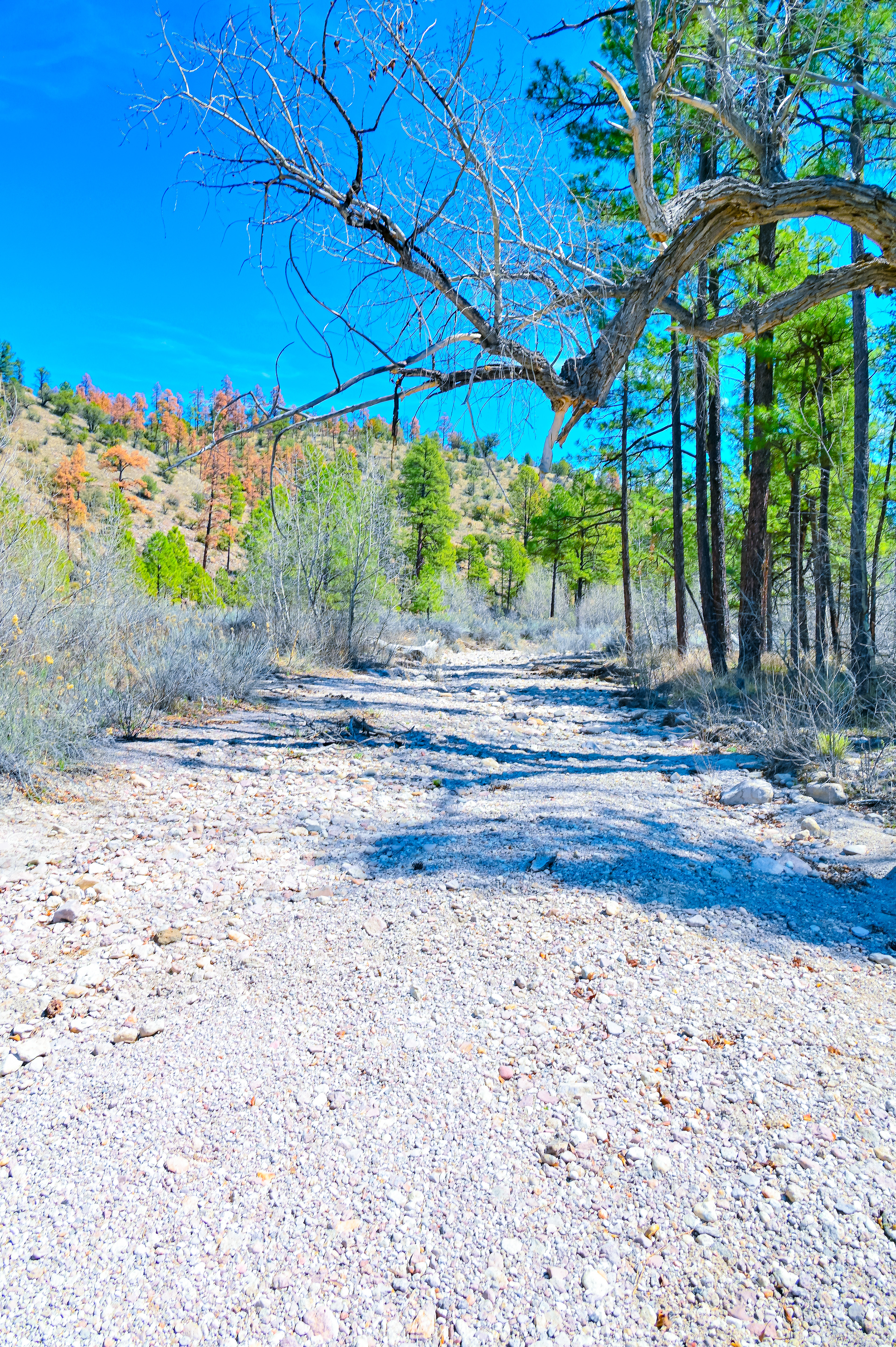 Little Creek Run Dry