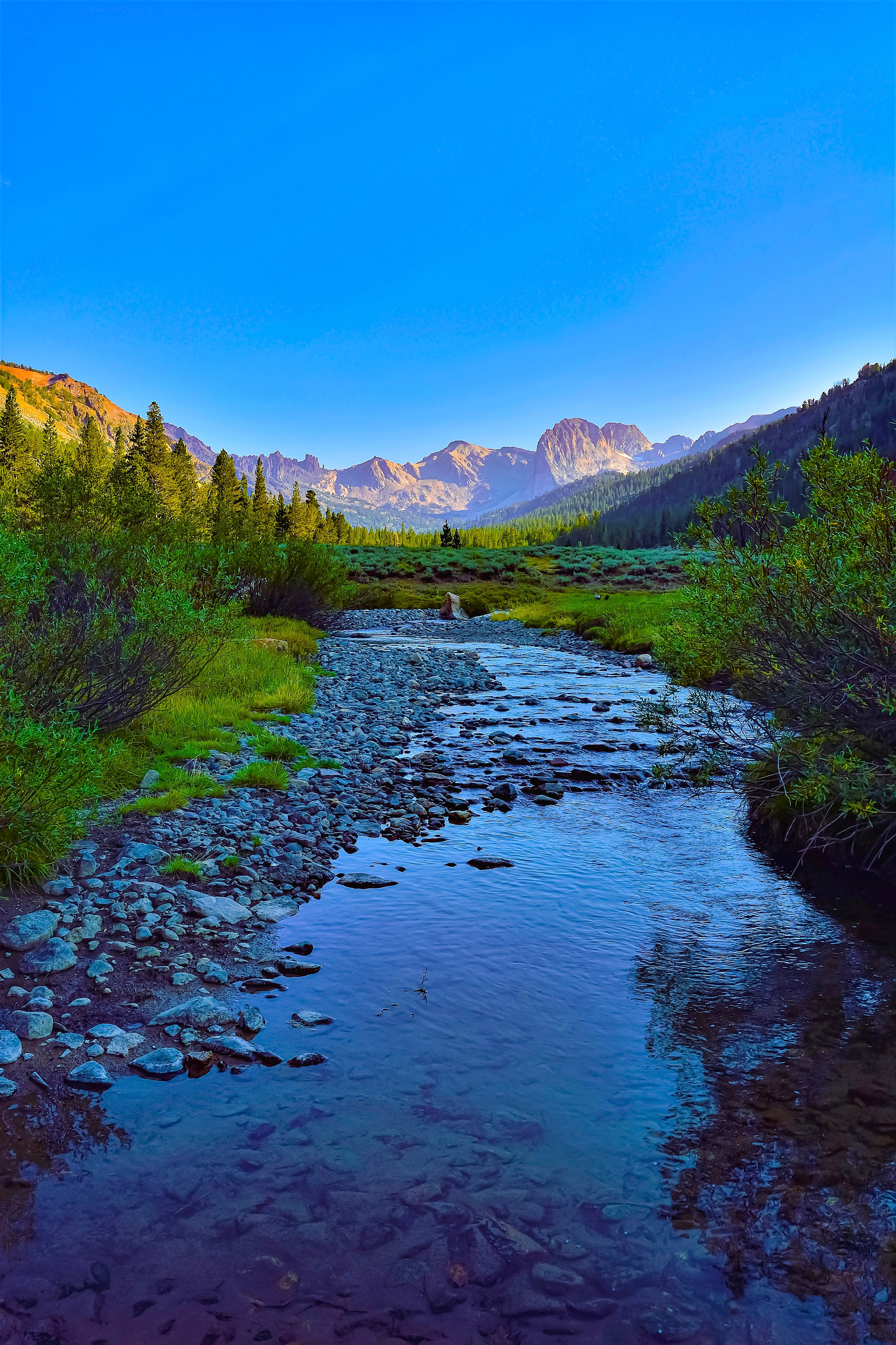 Burt Canyon, Hoover Wilderness, California
