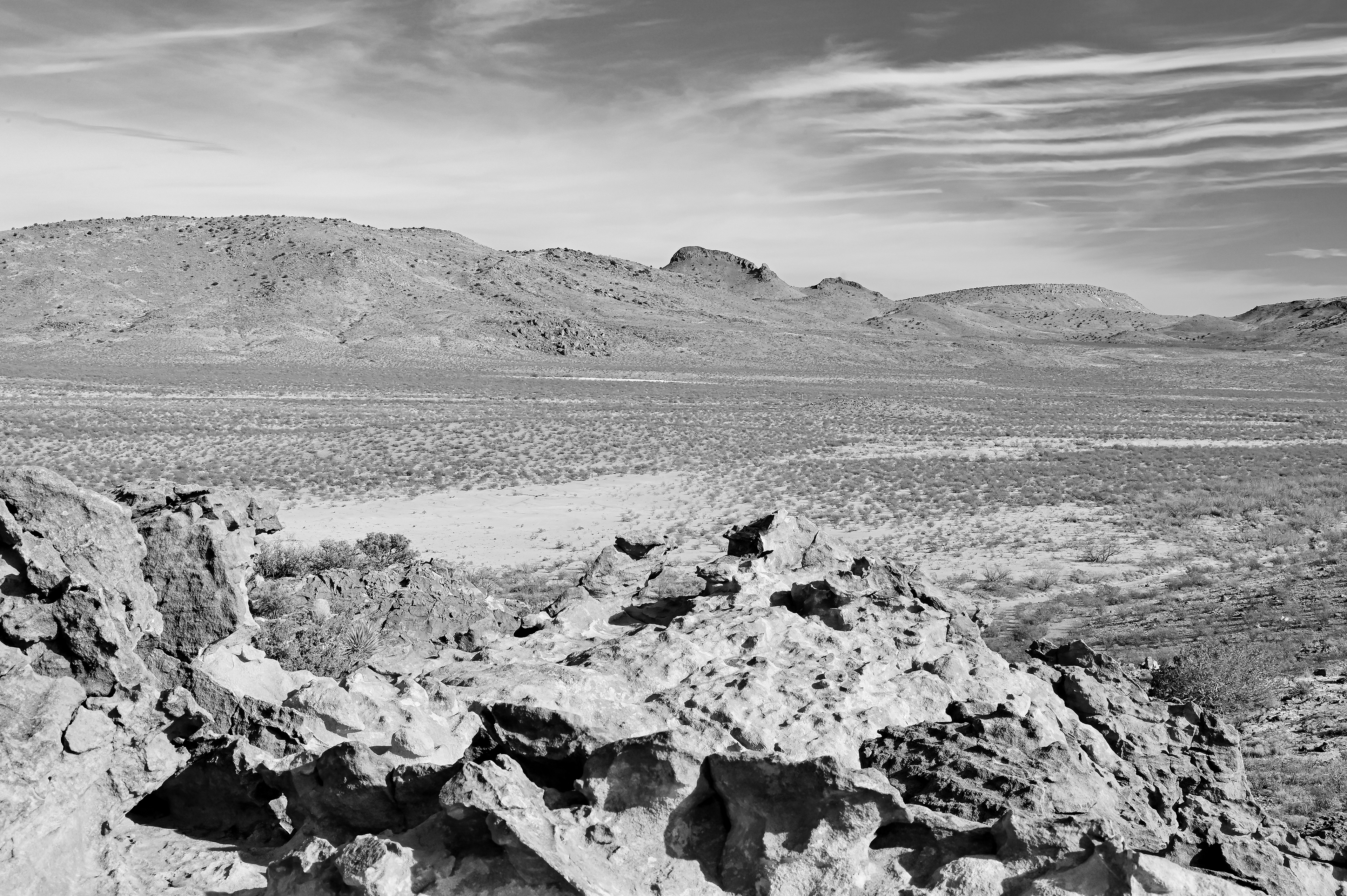 Chihuahuan Desert, Southwest New Mexico