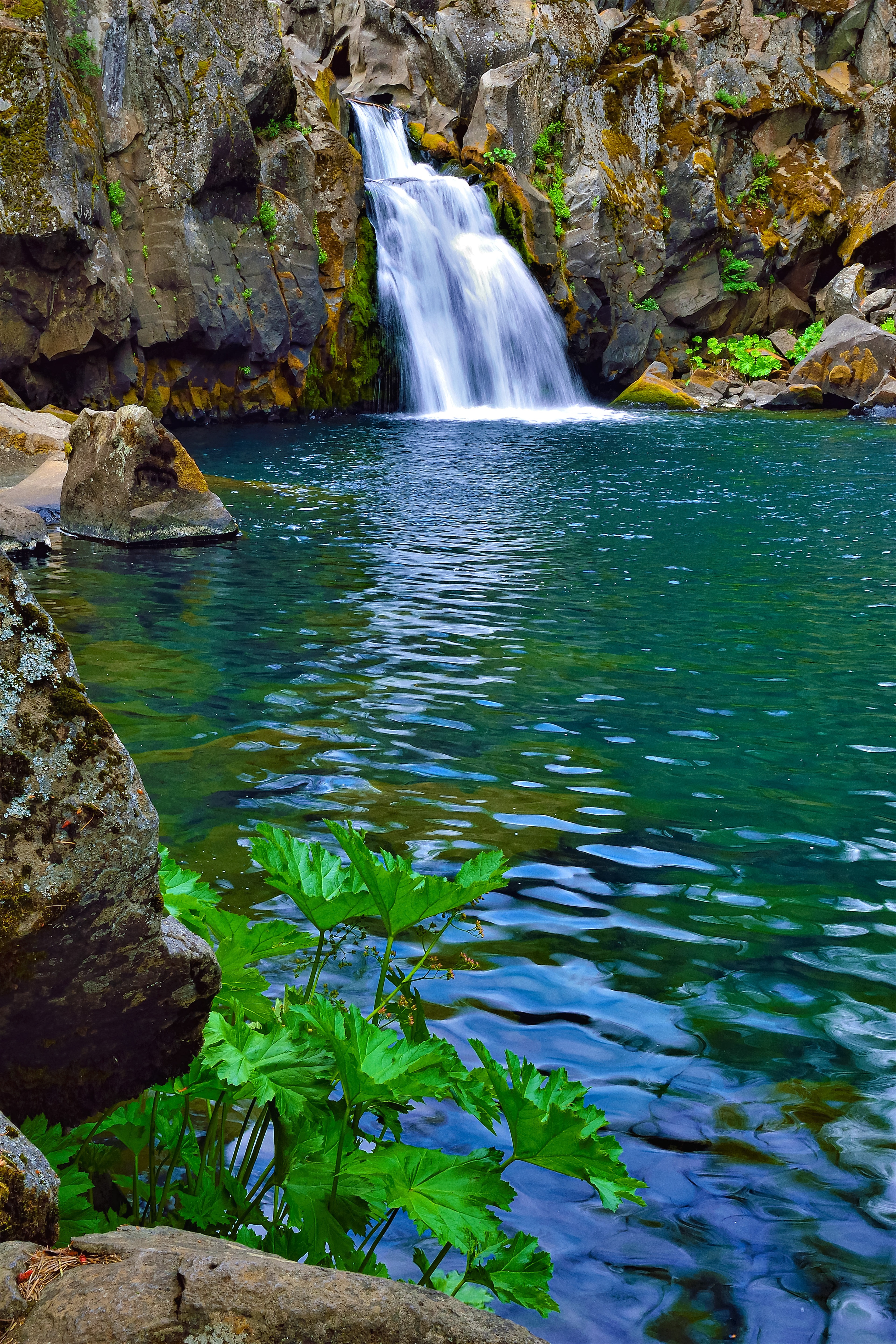 Upper Falls, McCloud River, California