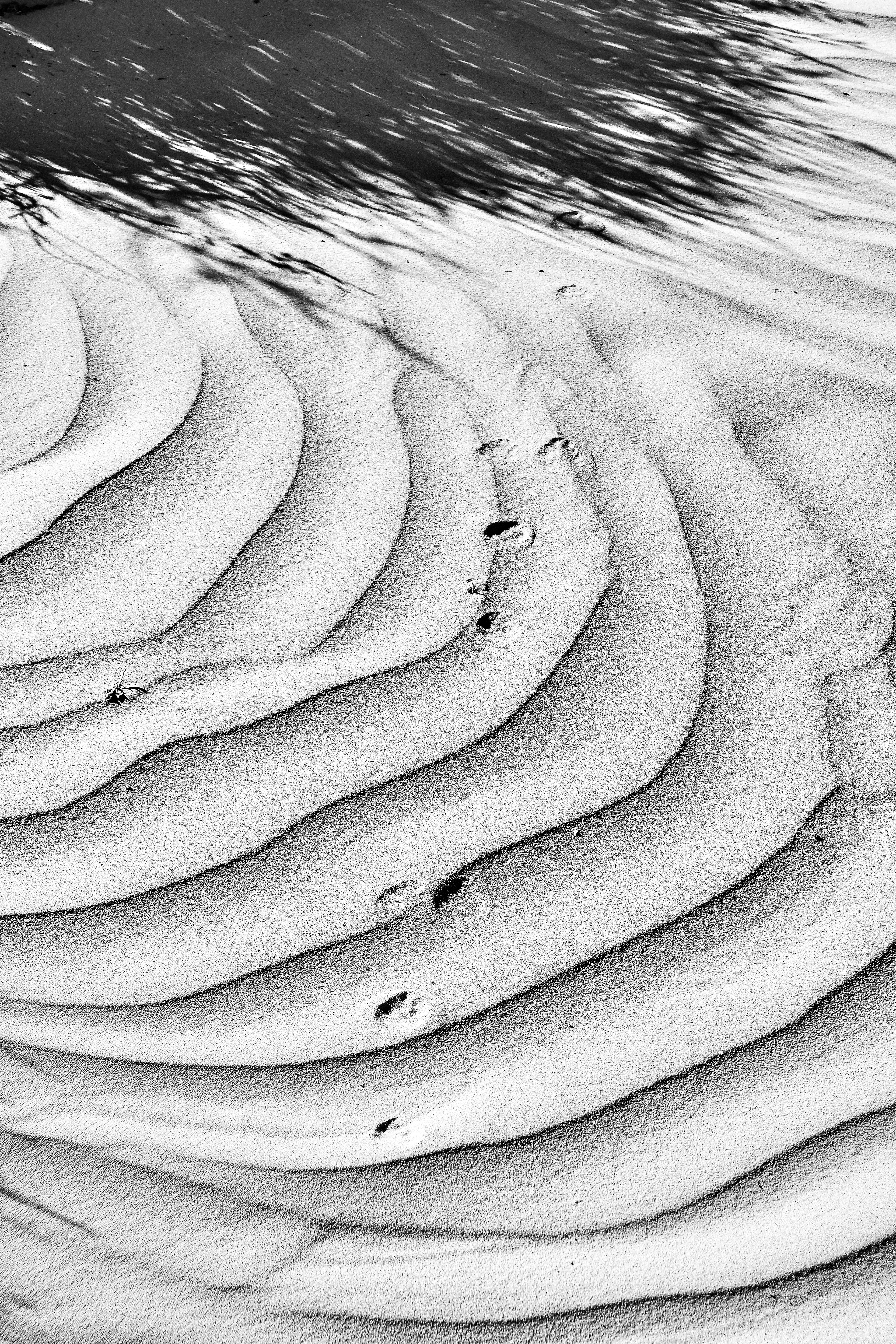 The Elegance of Sand, Butler Wash, Utah