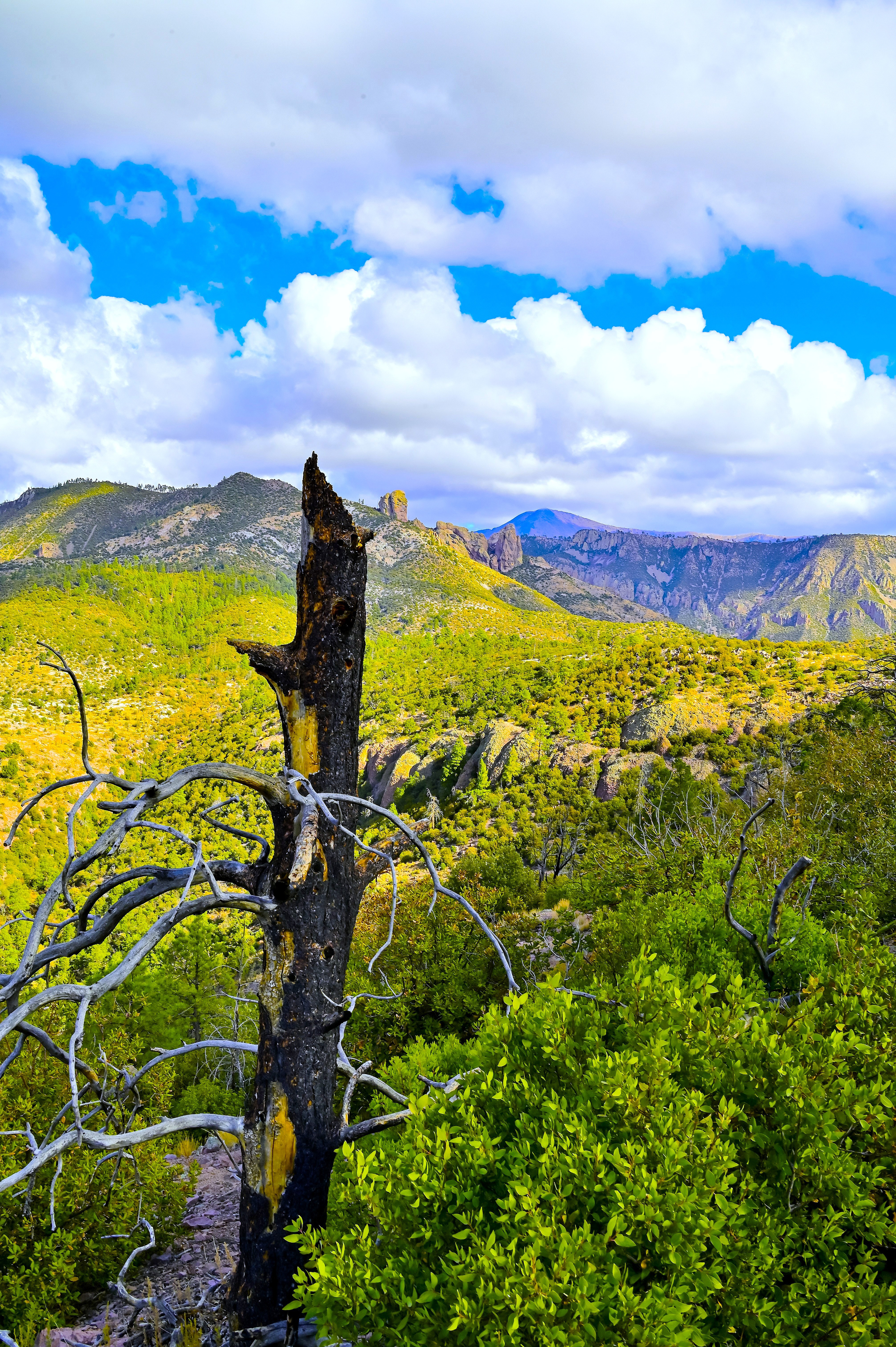 Mogollon Mountains, New Mexico