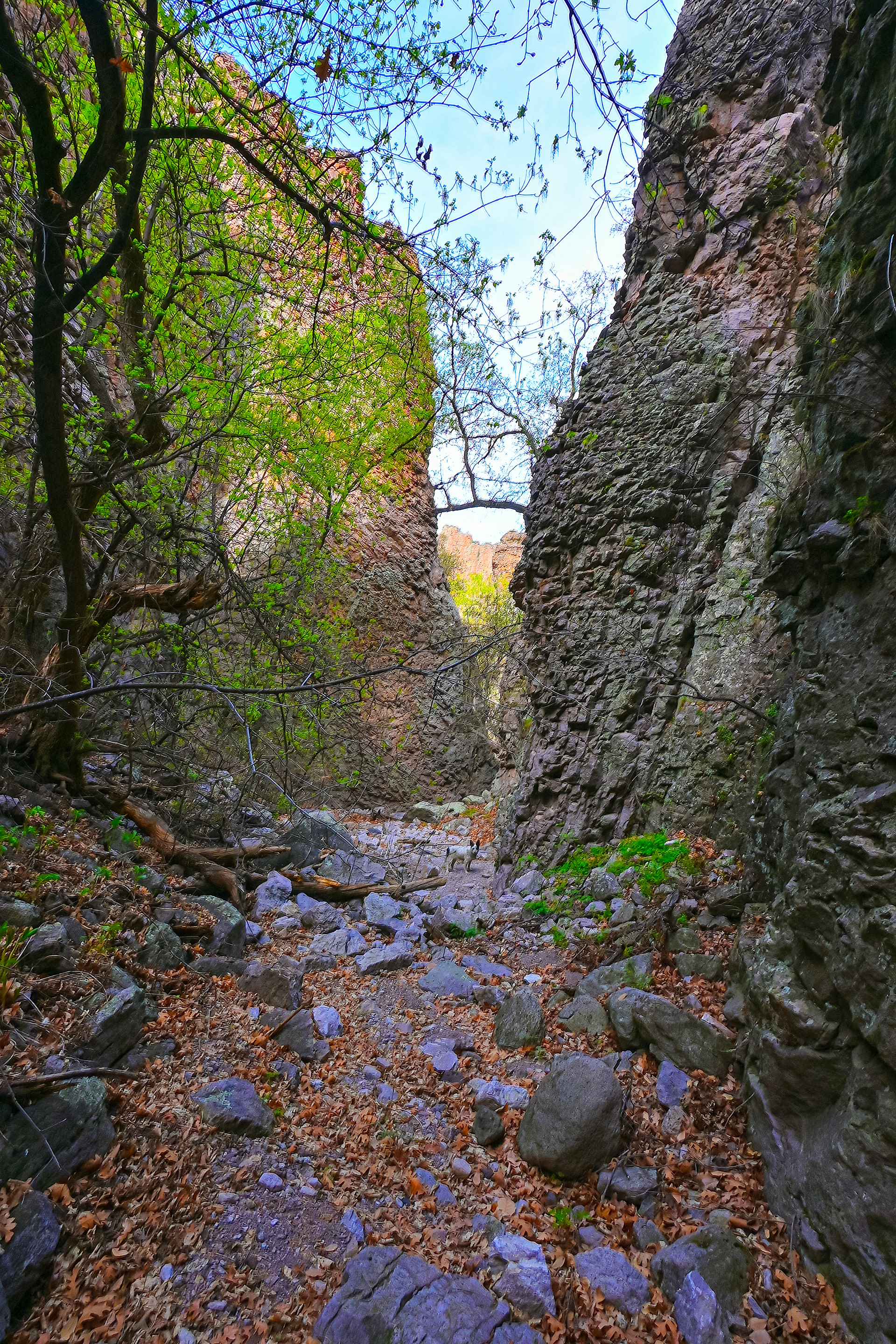 Slot Canyon