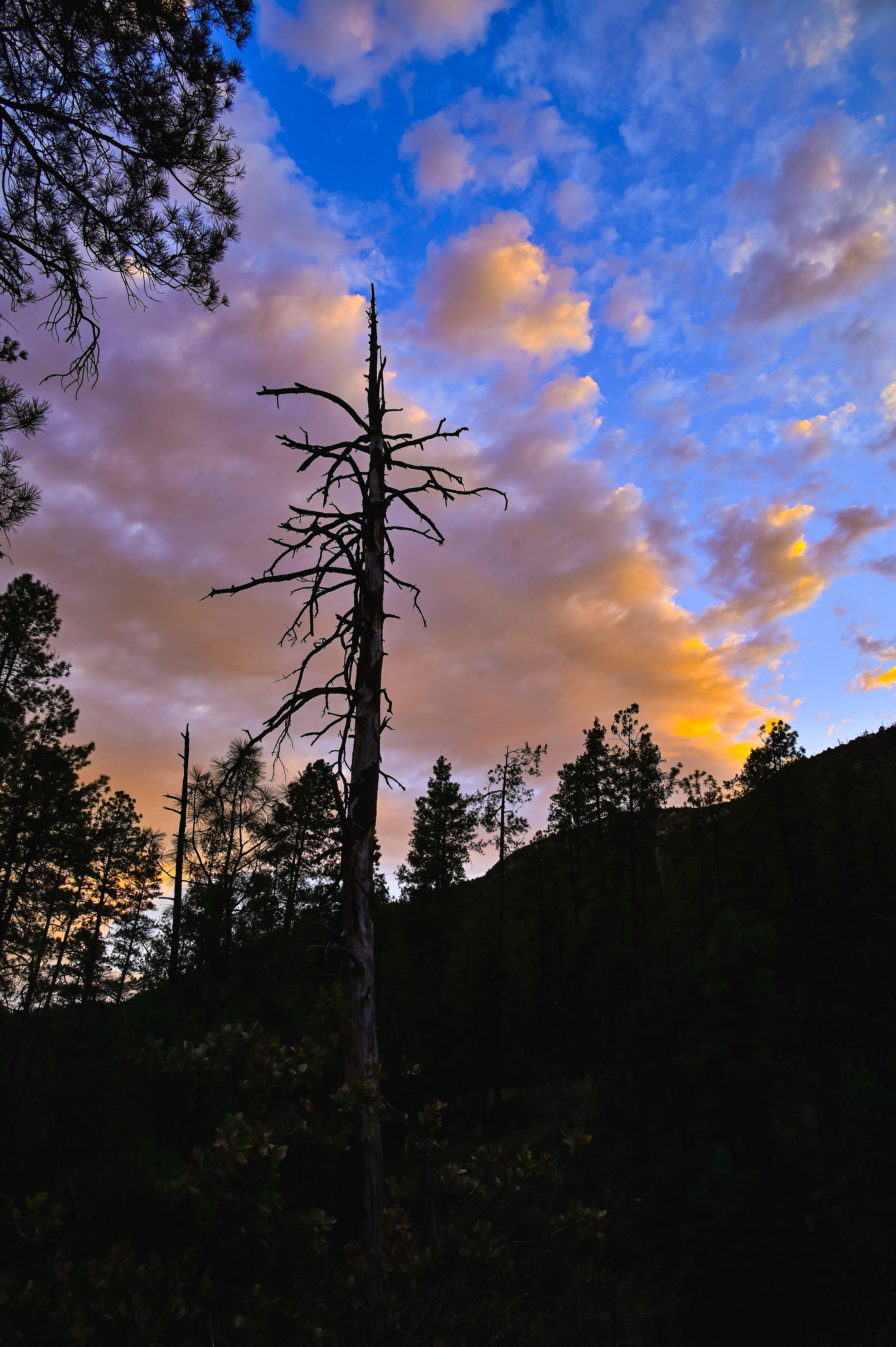 Sunset, Mogollon Mountains, New Mexico