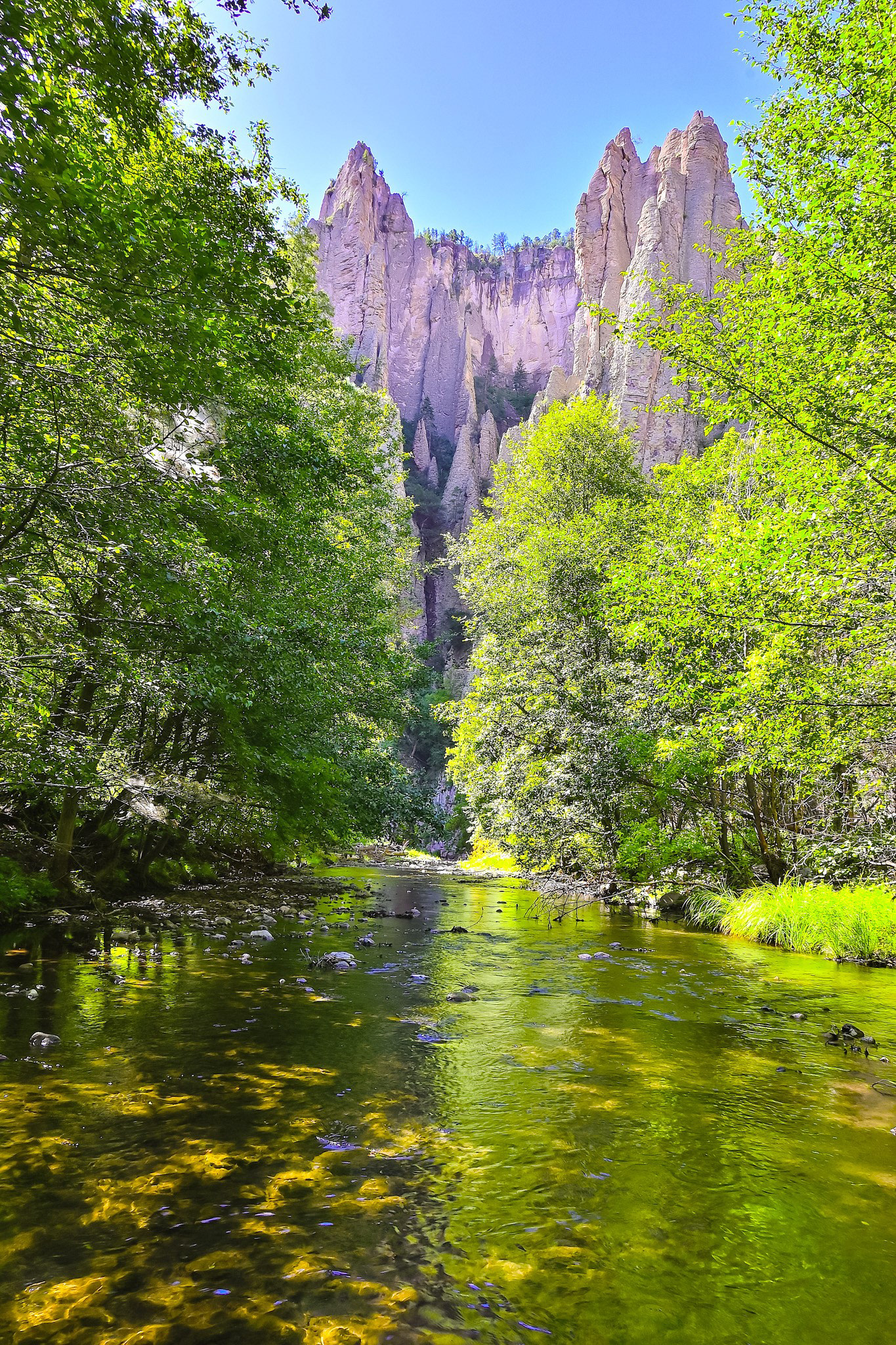 West Fork Gila River, New Mexico