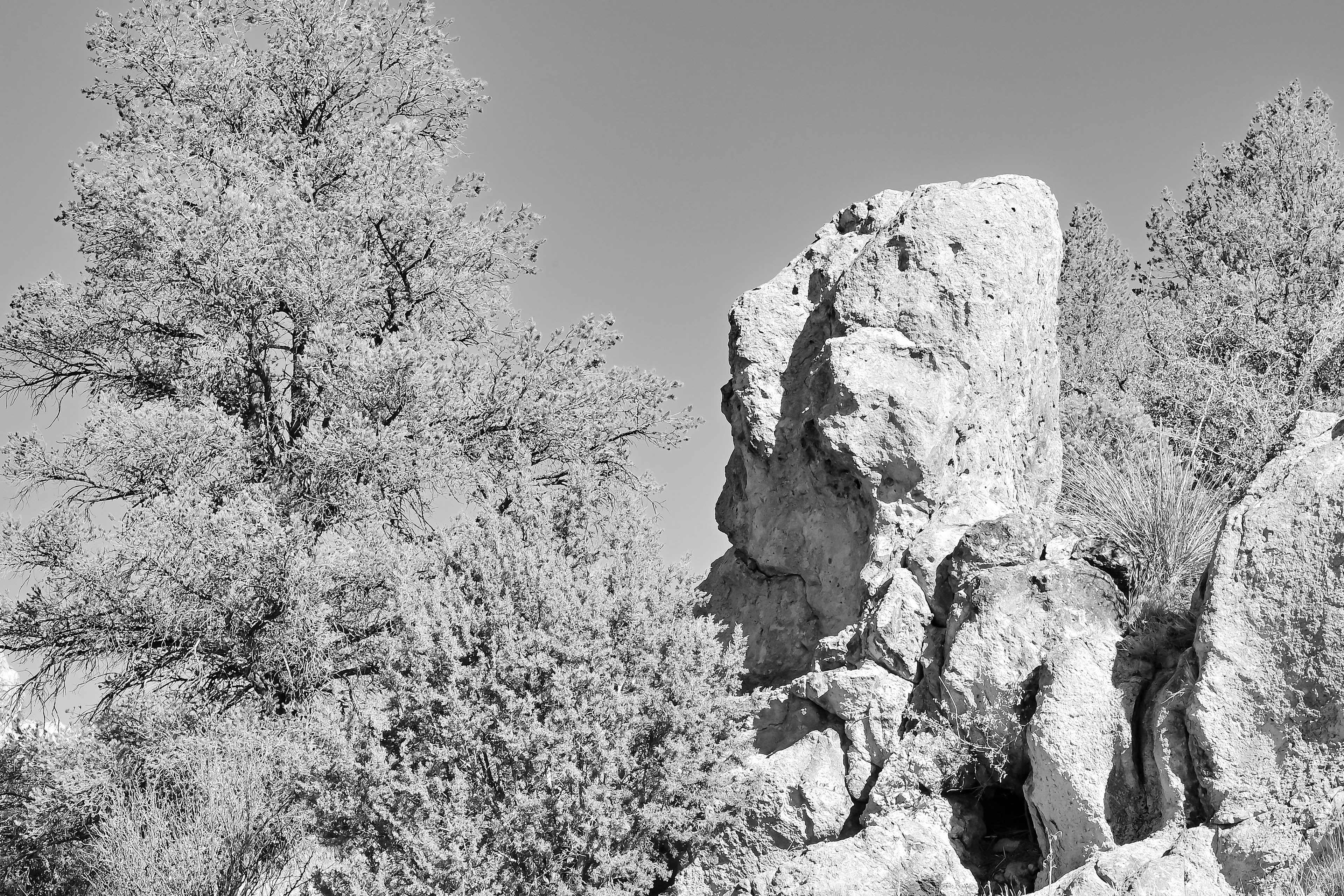 Brothers, Gila National Forest, New Mexico