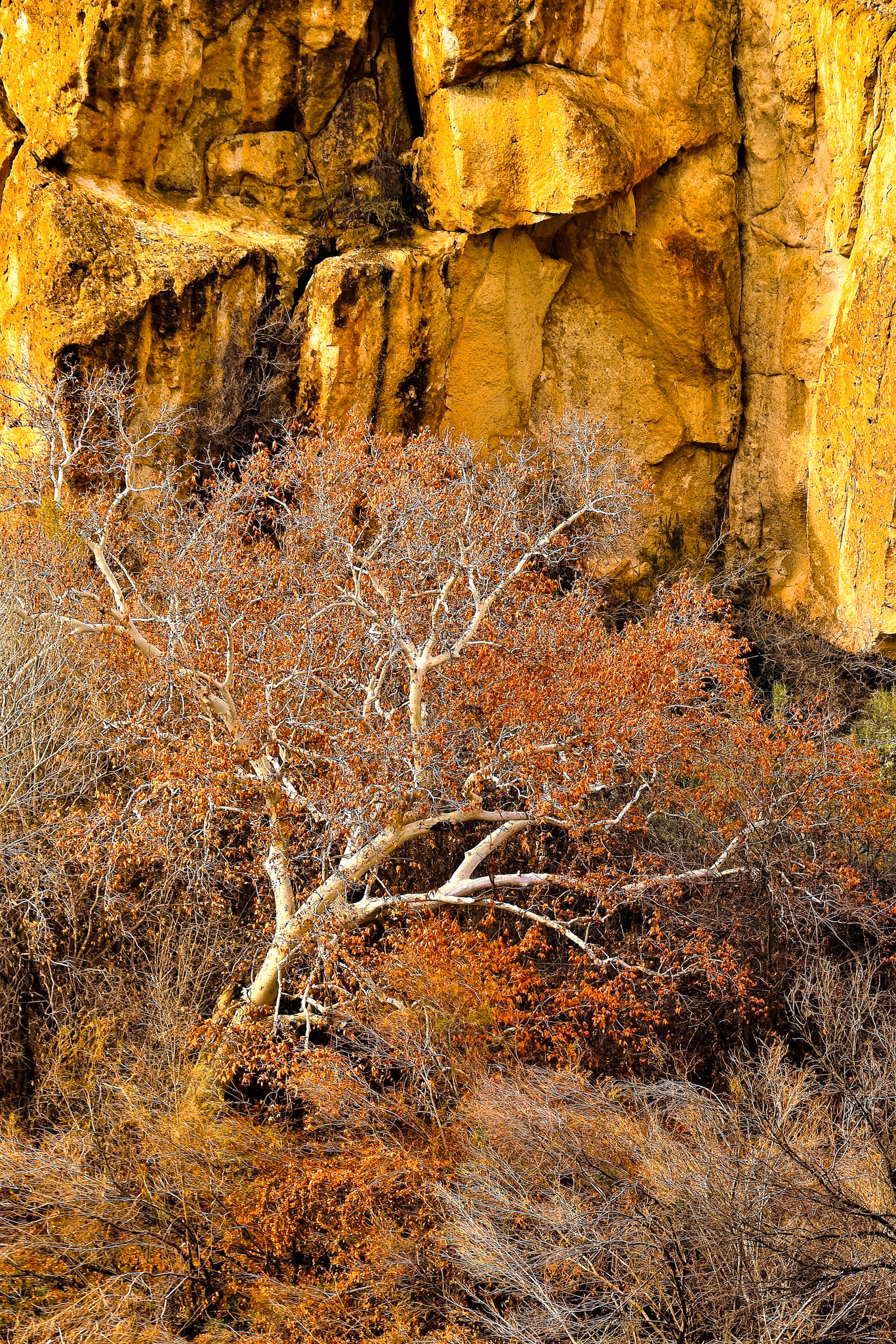 Lower Gila River Box, New Mexico