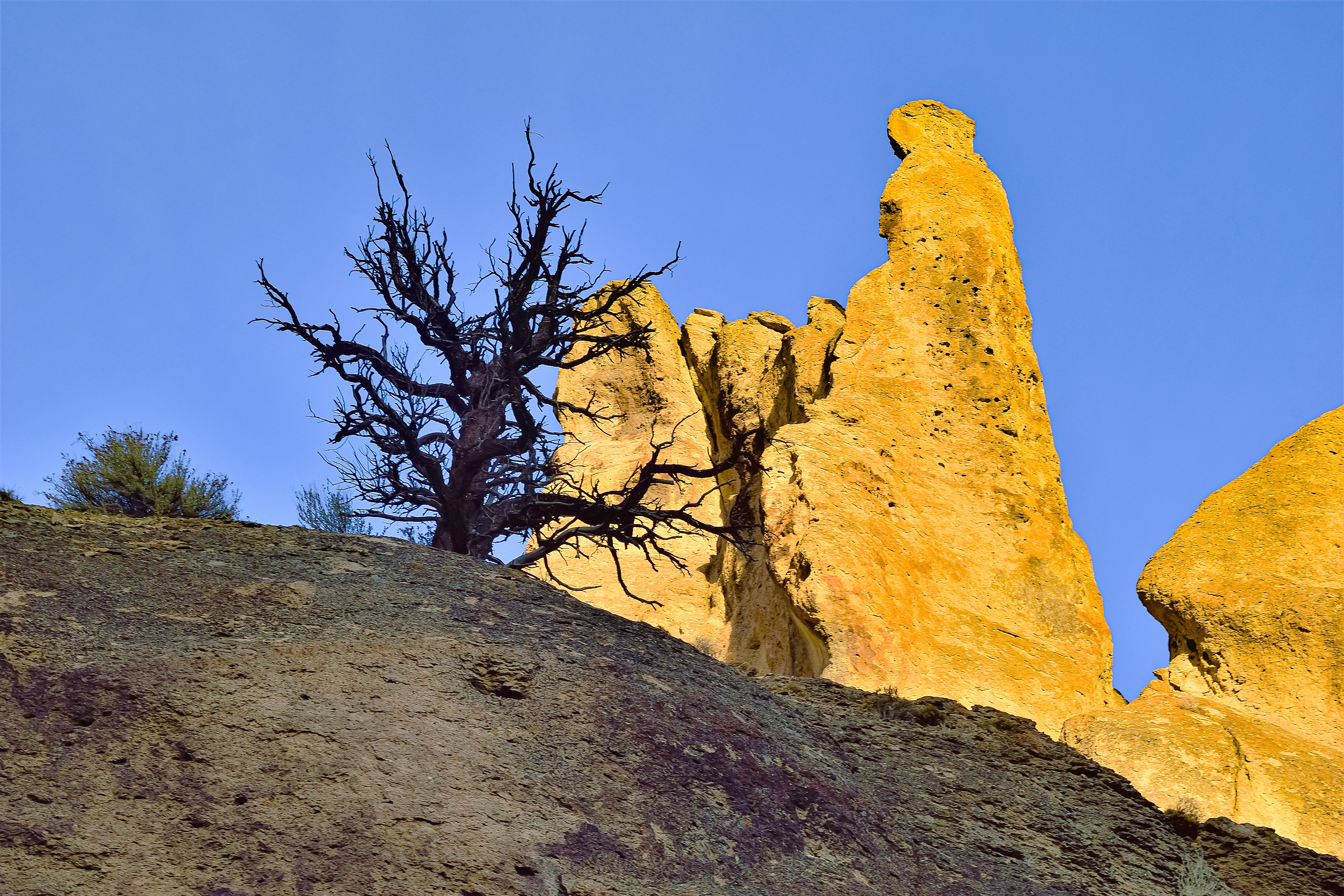 Deep Canyon, Central Nevada