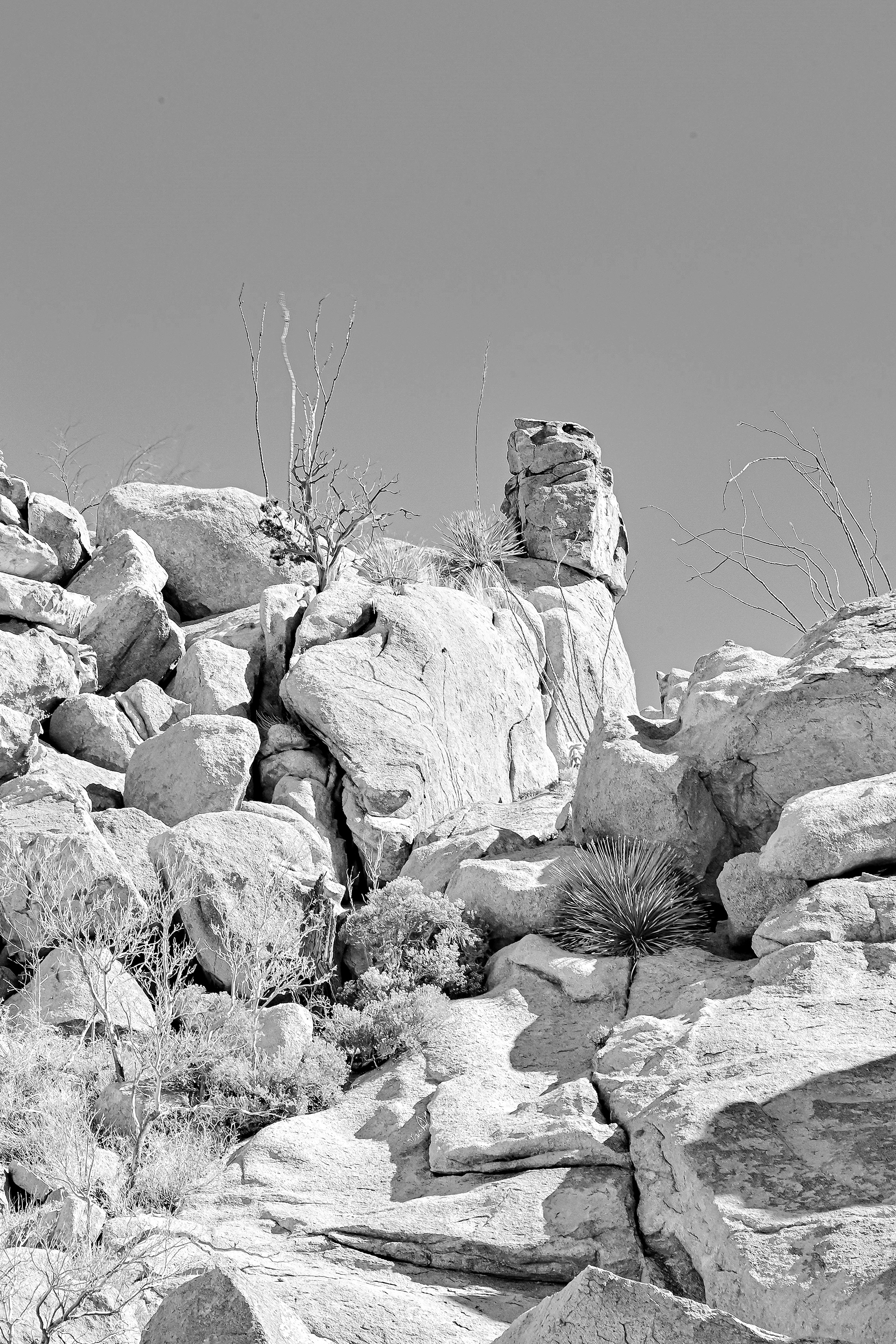 Stone Owl, Granite Peak, New Mexico