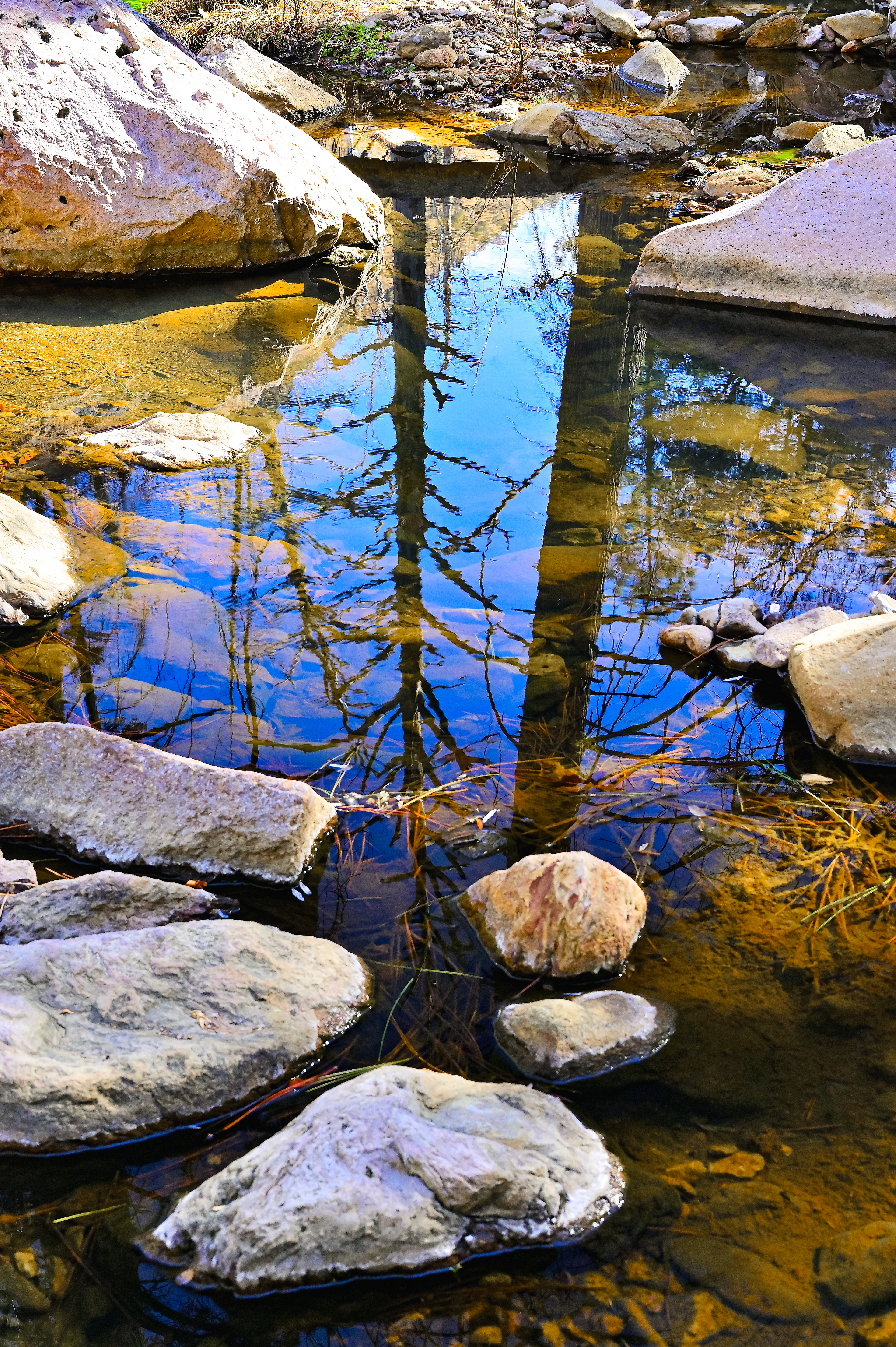 Reflections in Rucker CReek