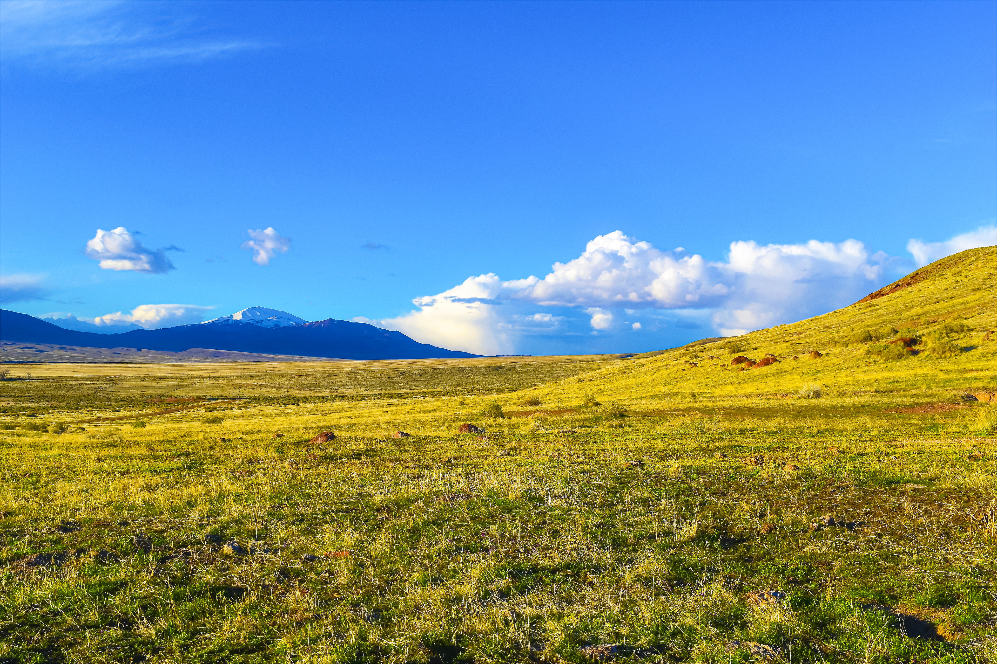 Mt Tobin from Jersey Valley, Nevada
