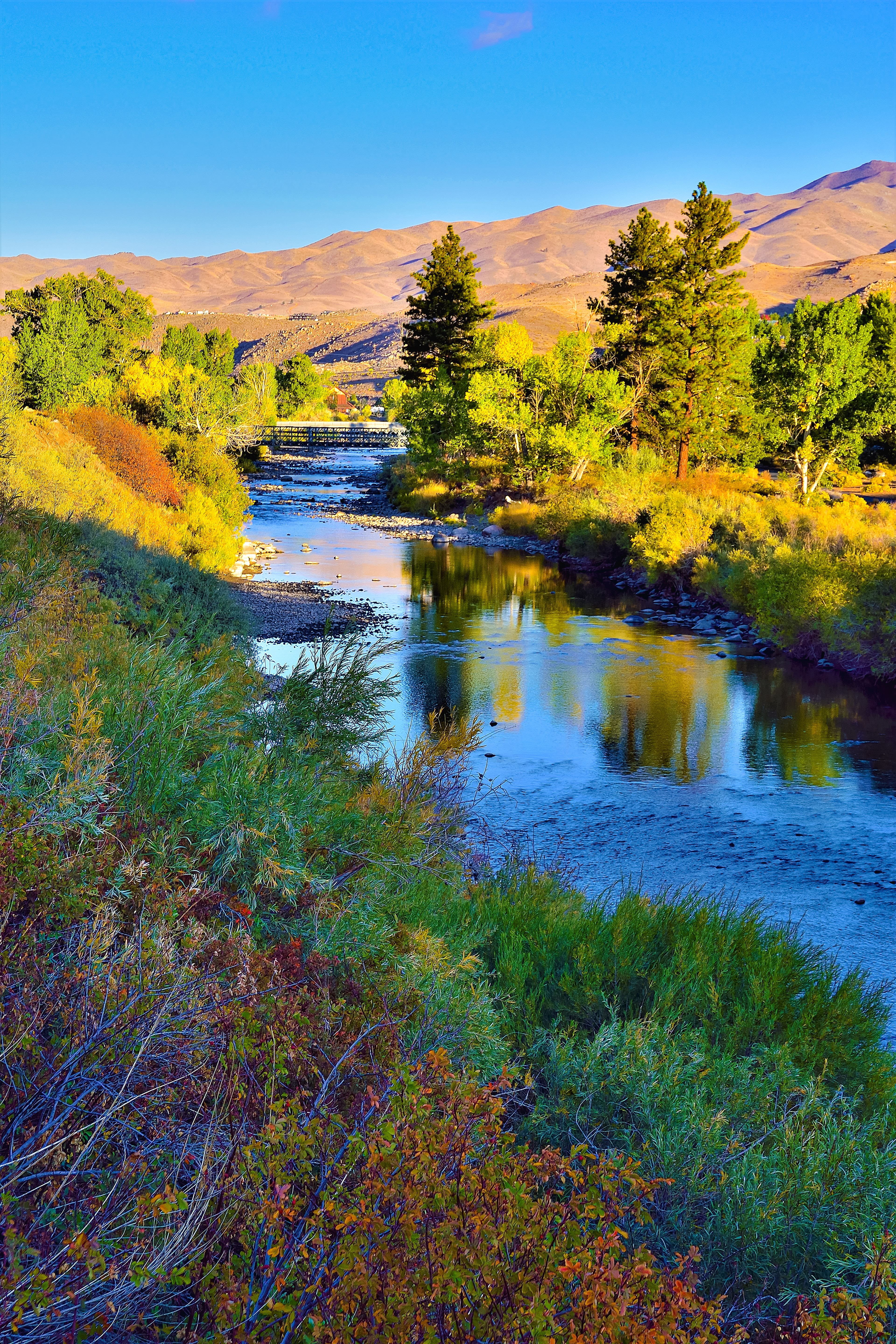 Autumn on the Truckee River, Reno