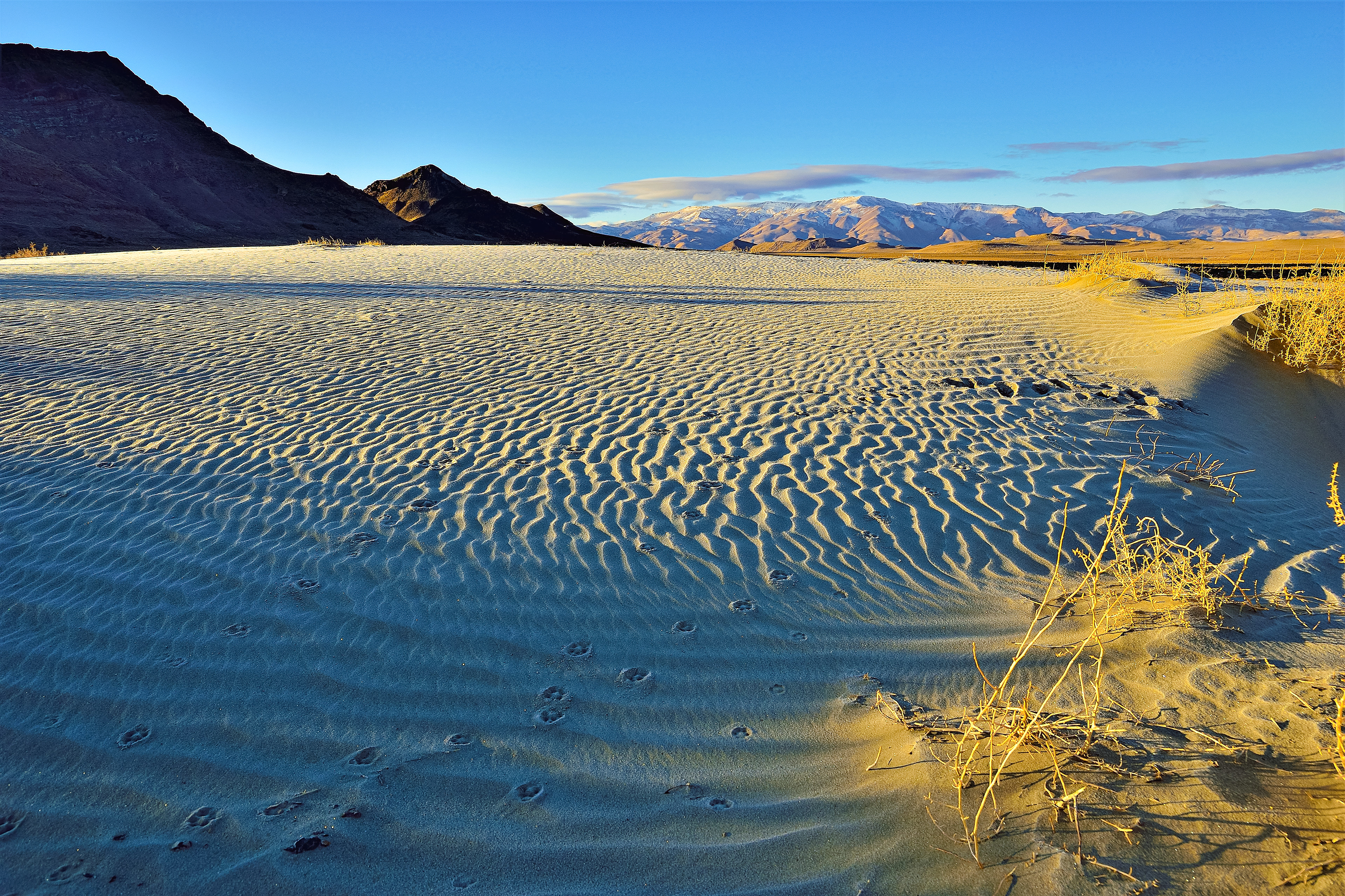 Sand Dunes, Winnemucca Lake Basin, Nevada