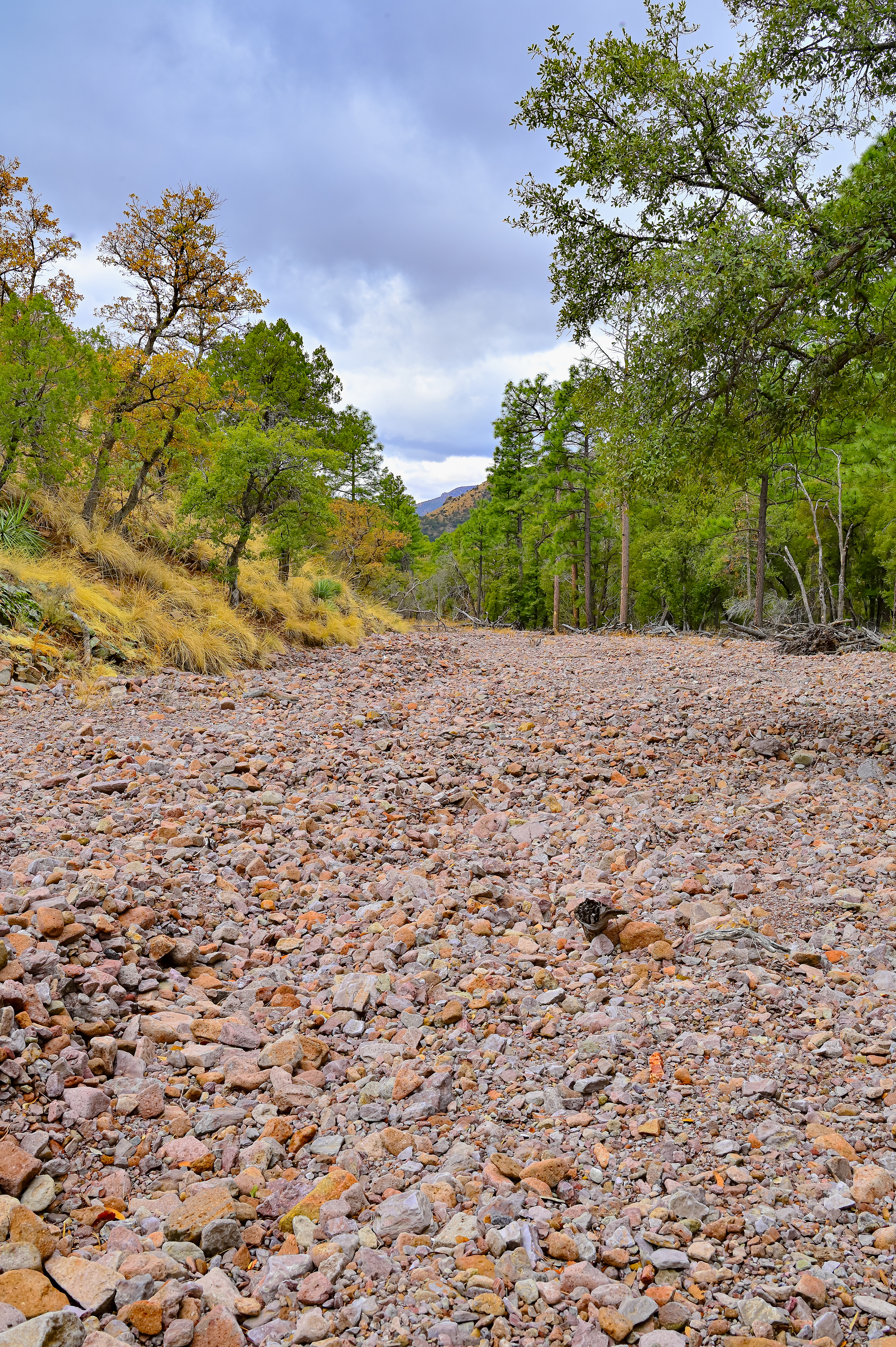Once There Were Rivers