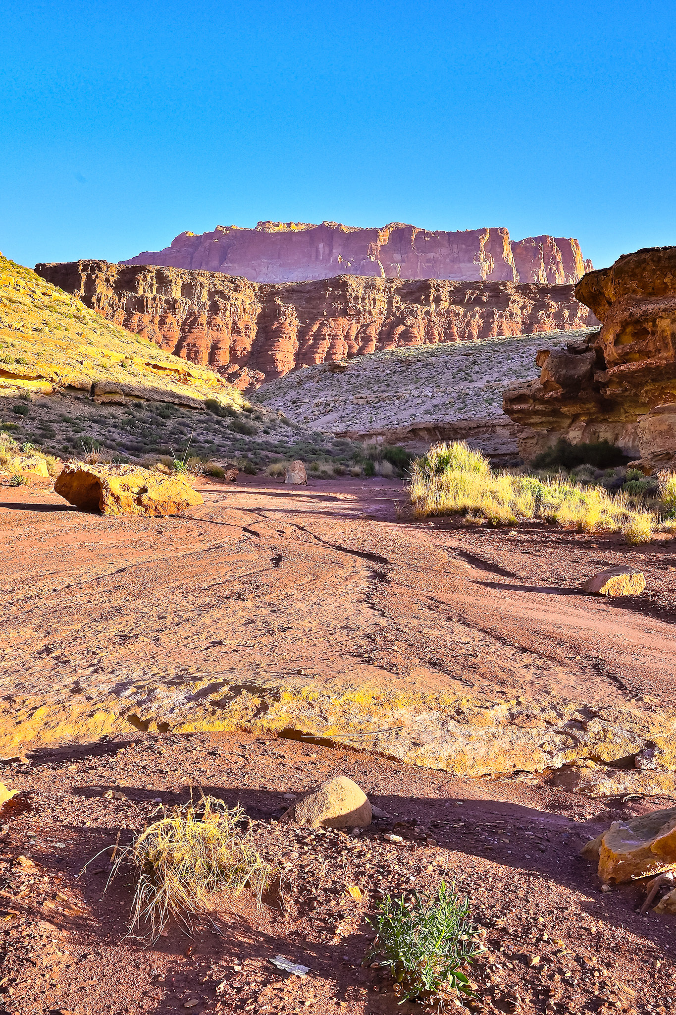 Vermillion Cliffs, Arizona