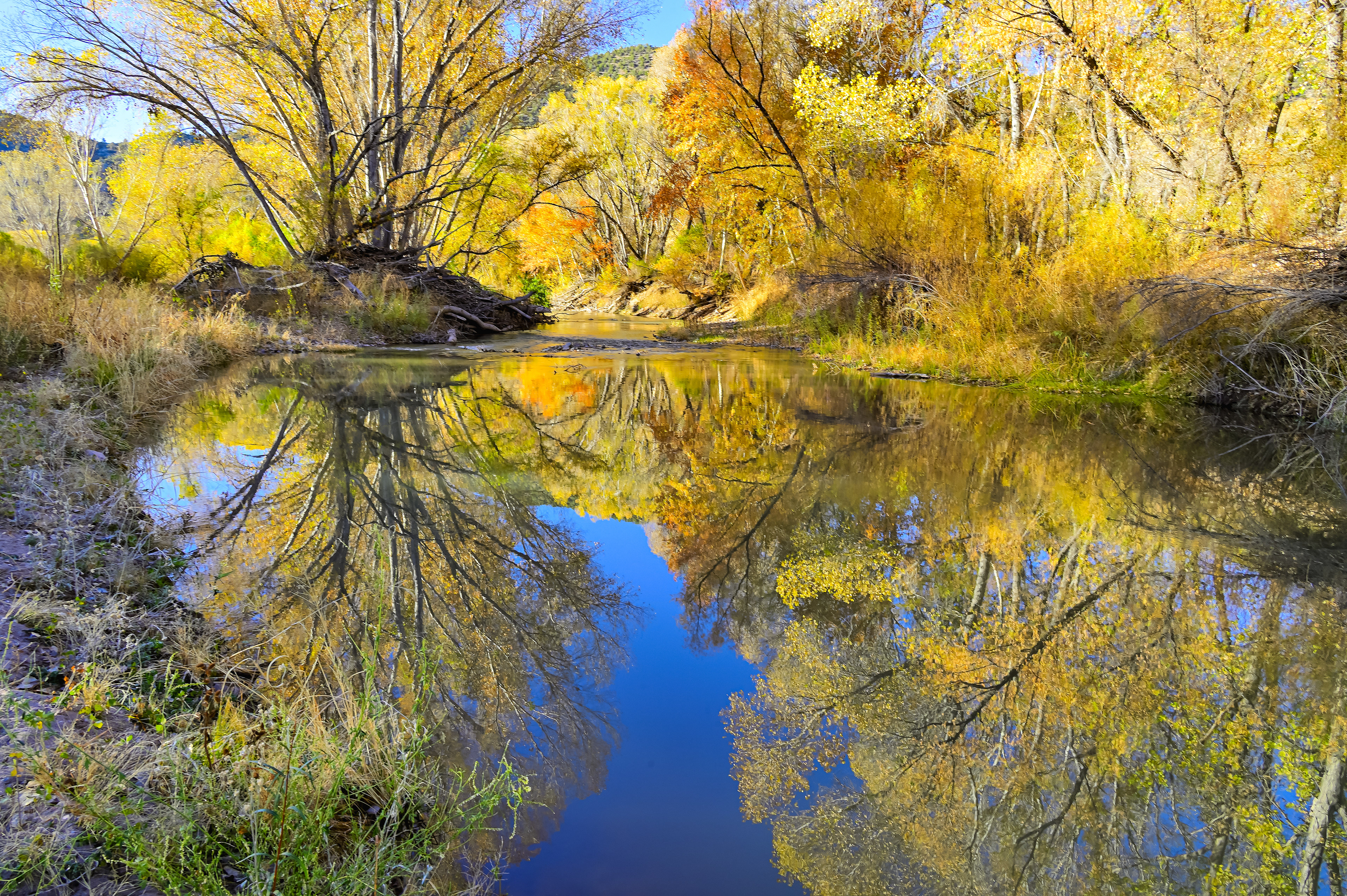 Autumn Reflected, Gila River, New Mexico