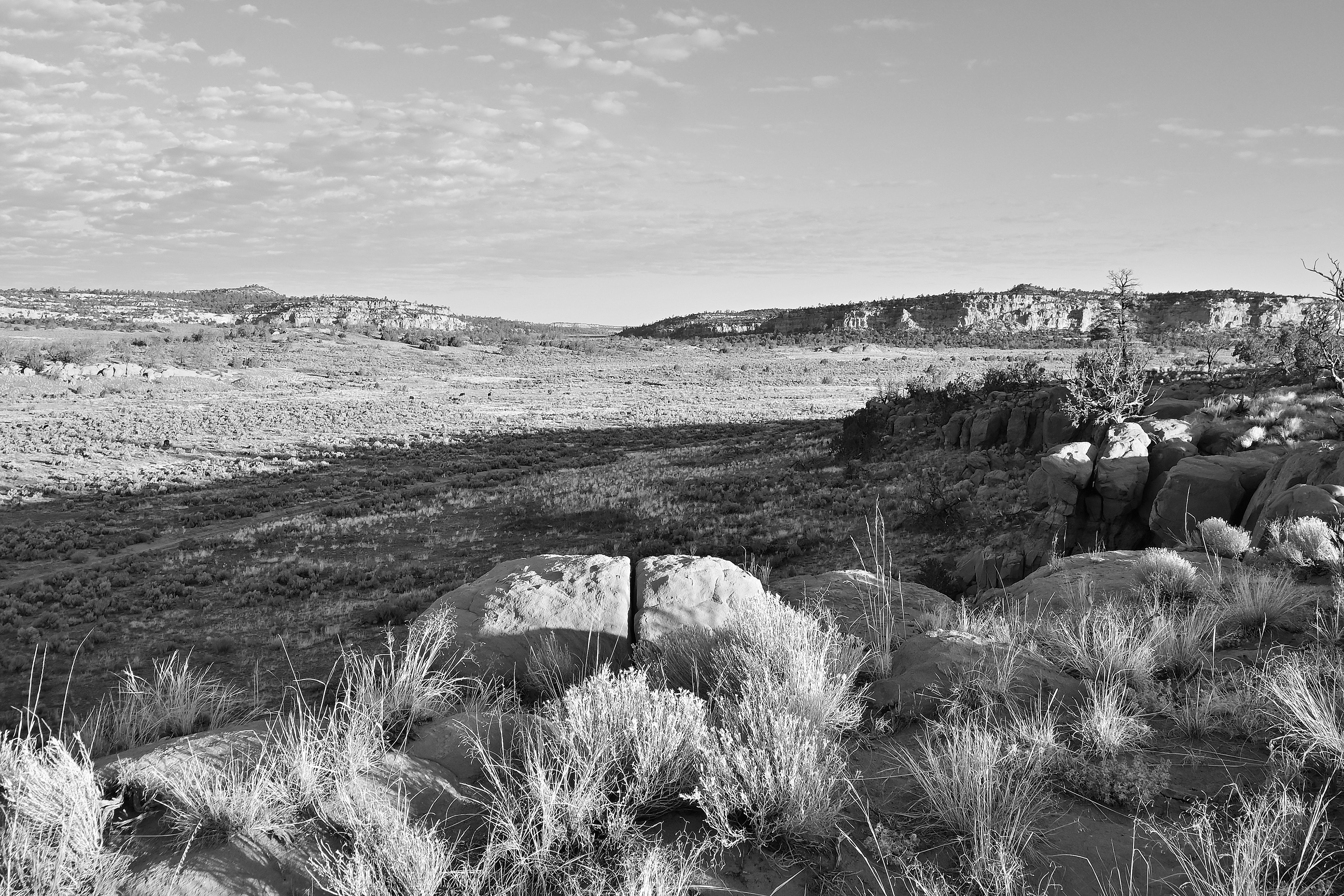 San Juan Basin Badlands, New Mexico