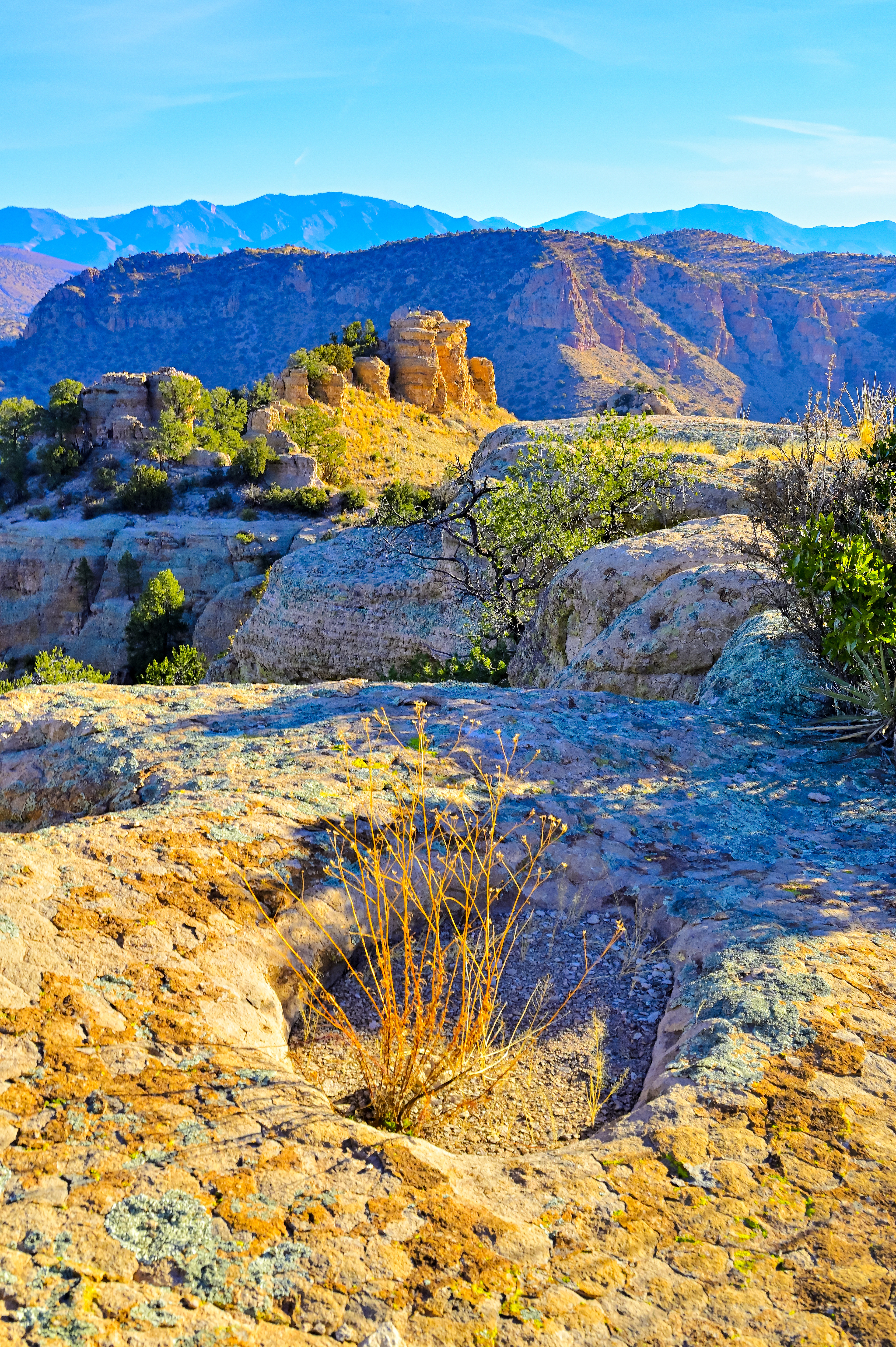 Canyon Country, Southwest New Mexico
