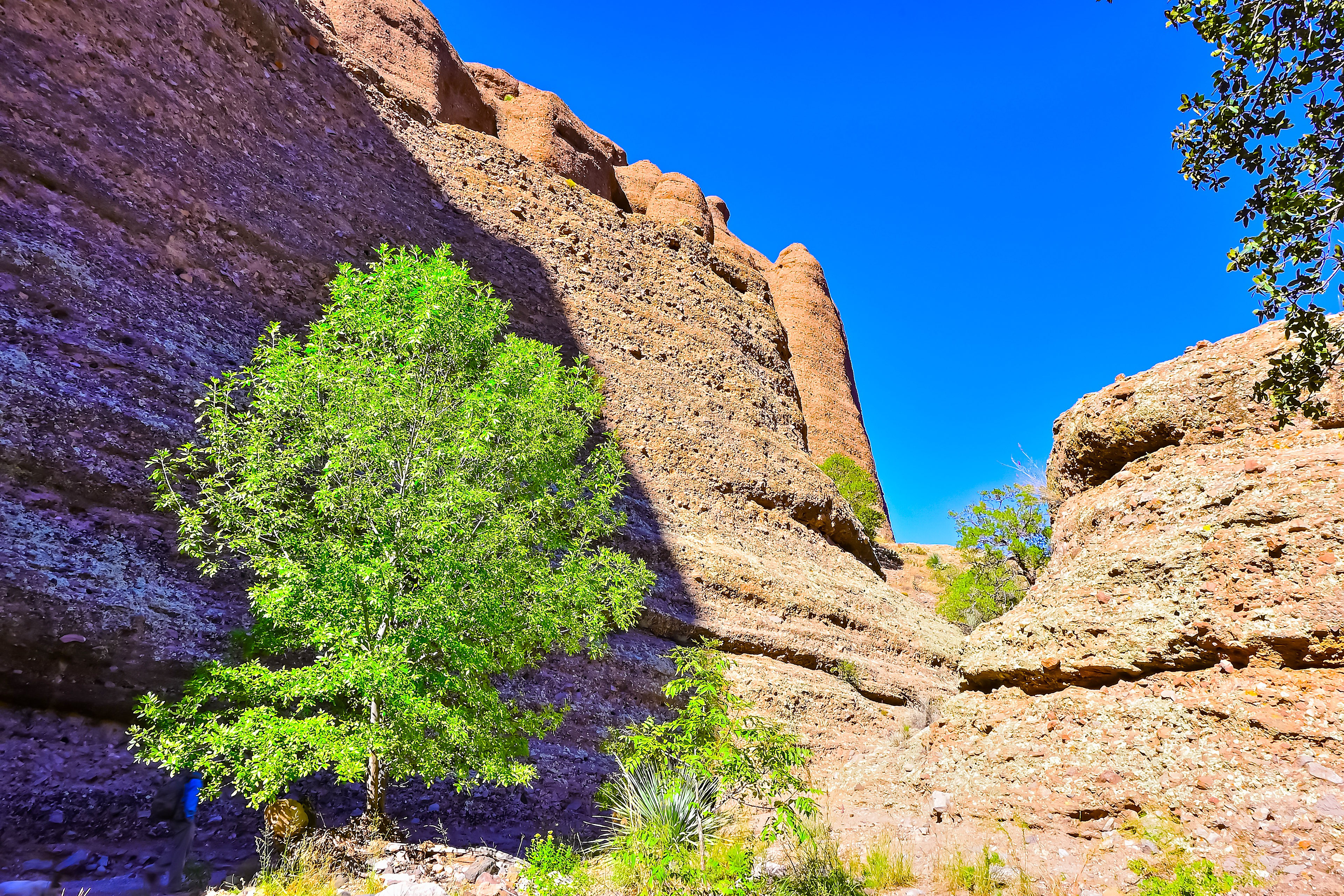 Hells Canyon, Southwest New Mexico