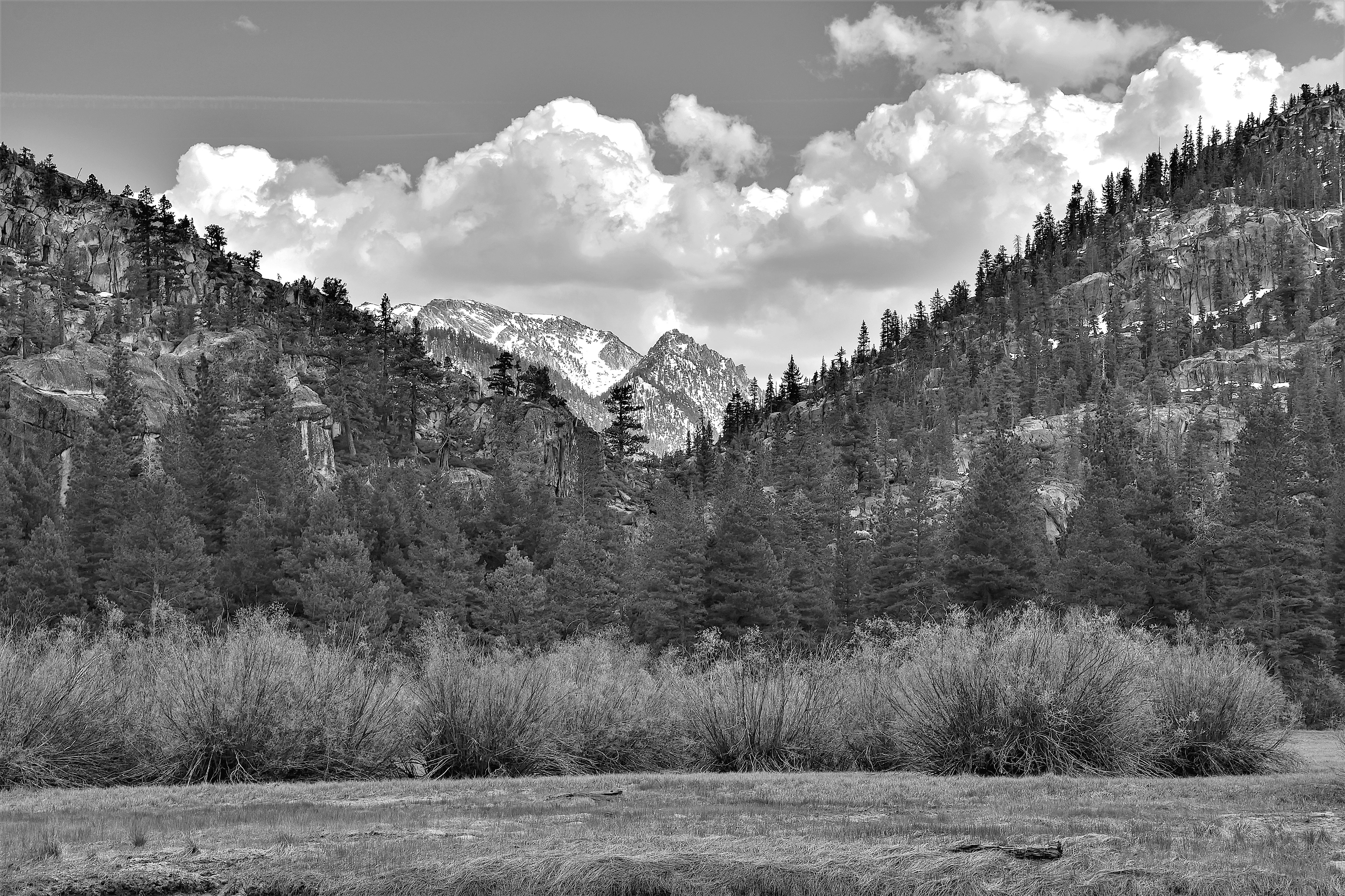 East Fork Carson River Canyon, California