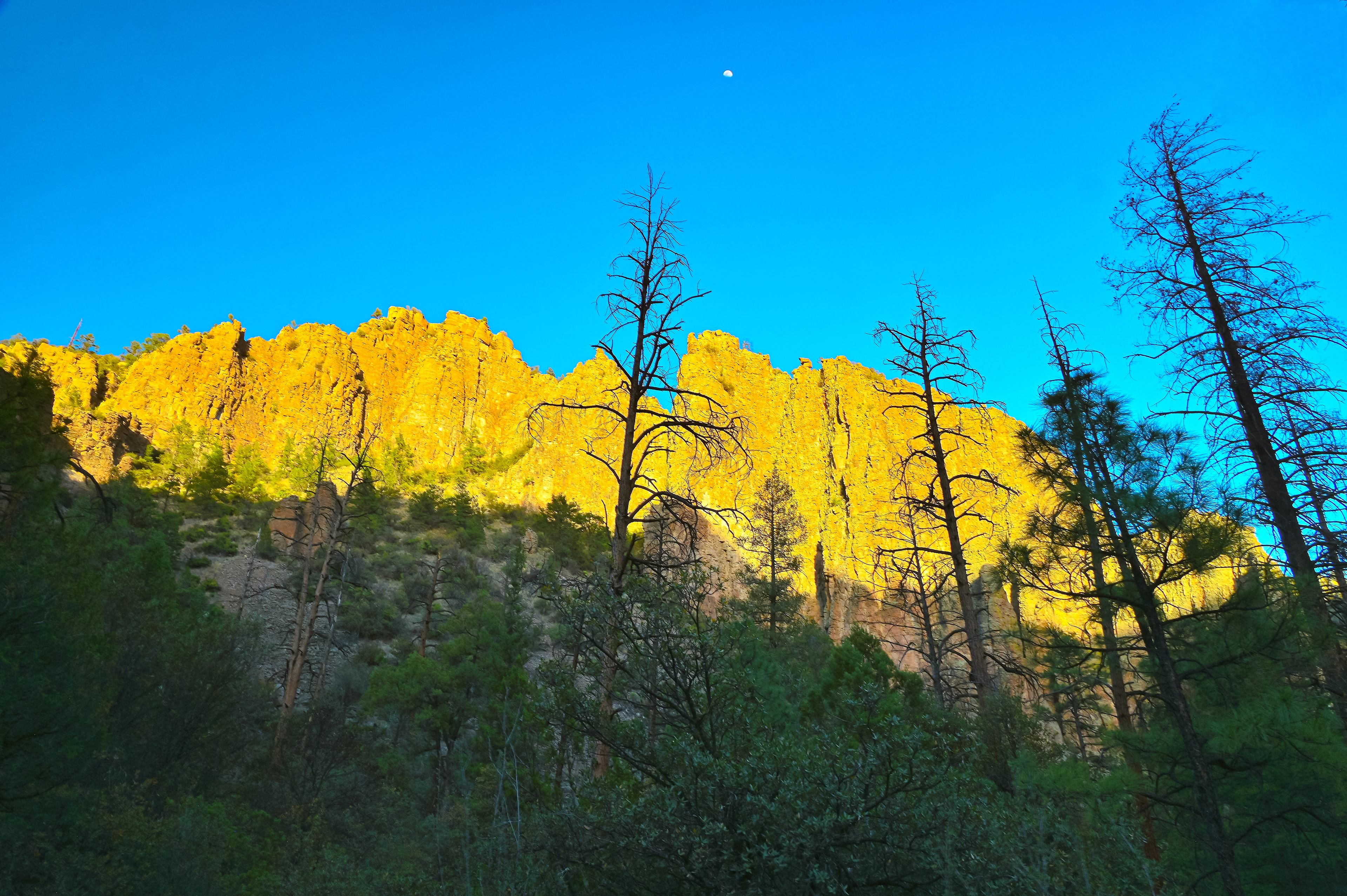 Sunset in the Canyon