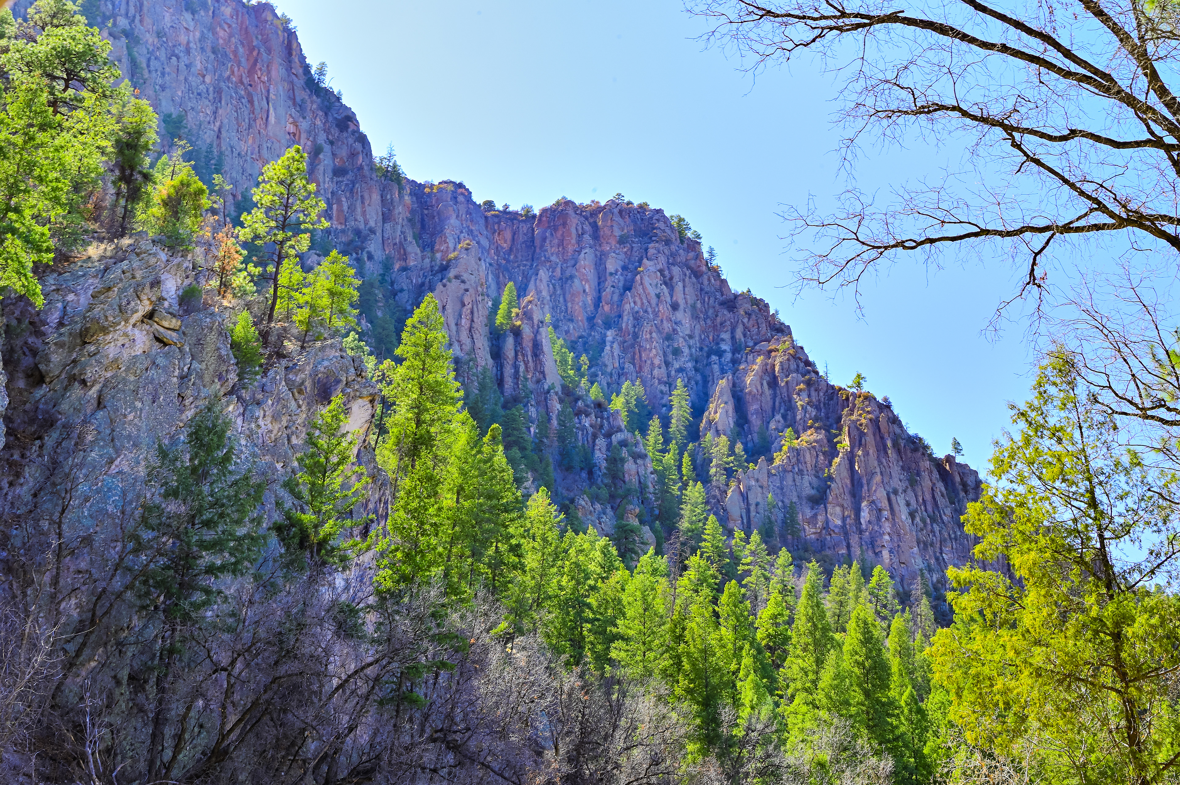 Canyon Wall, Gila Wilderness, New Mexico
