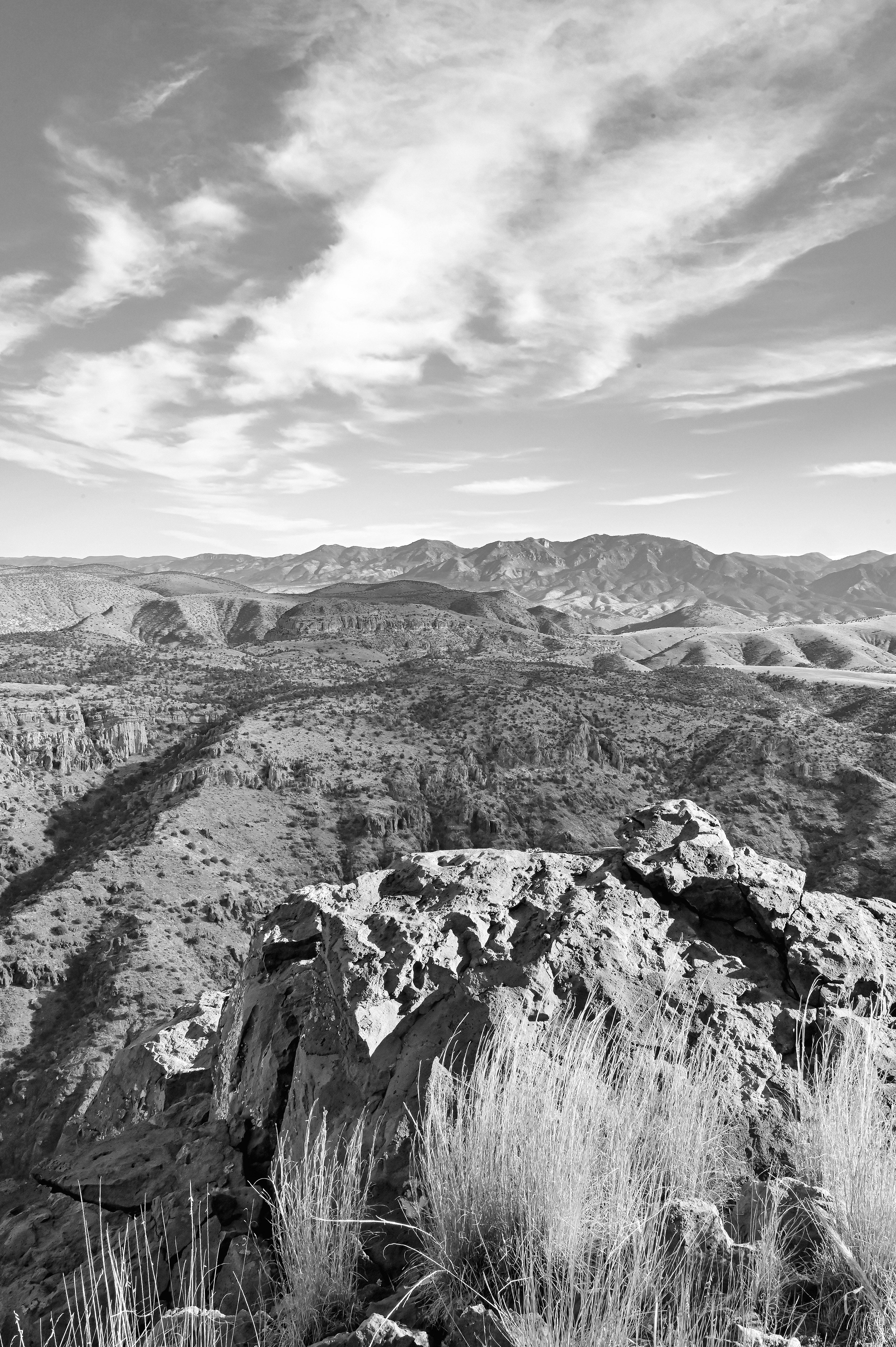 The Long View