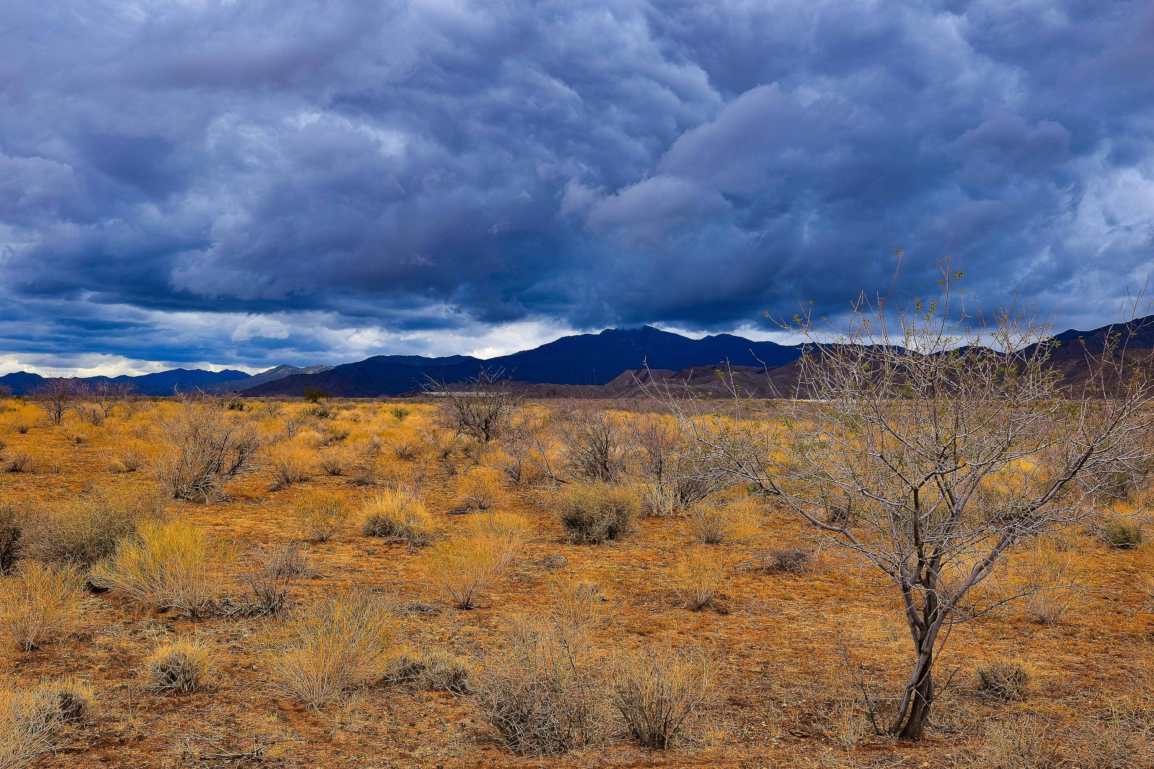 Storm Brewing, Northwest Arizona