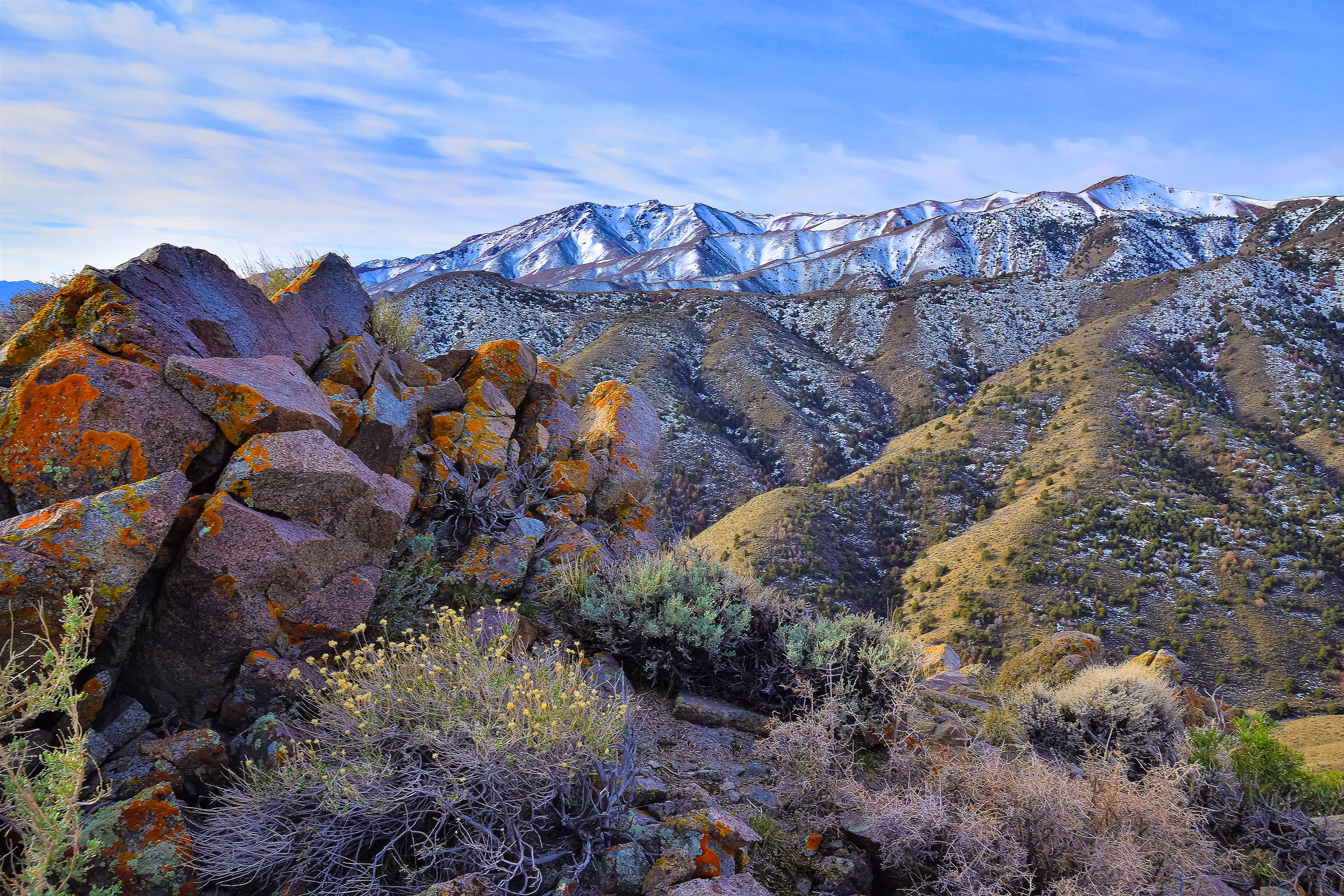Stillwater Mountains, Nevada